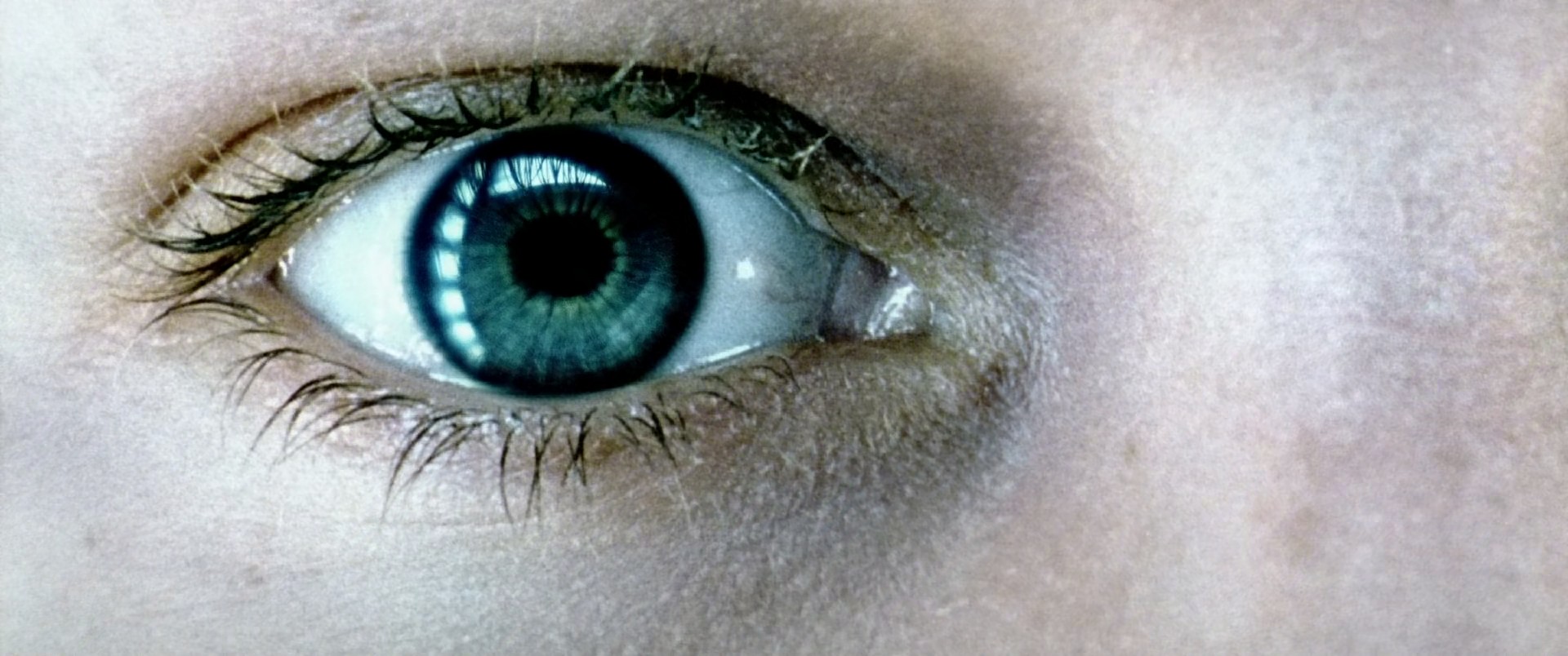 Minority Report (2002) —  shot,  lighting