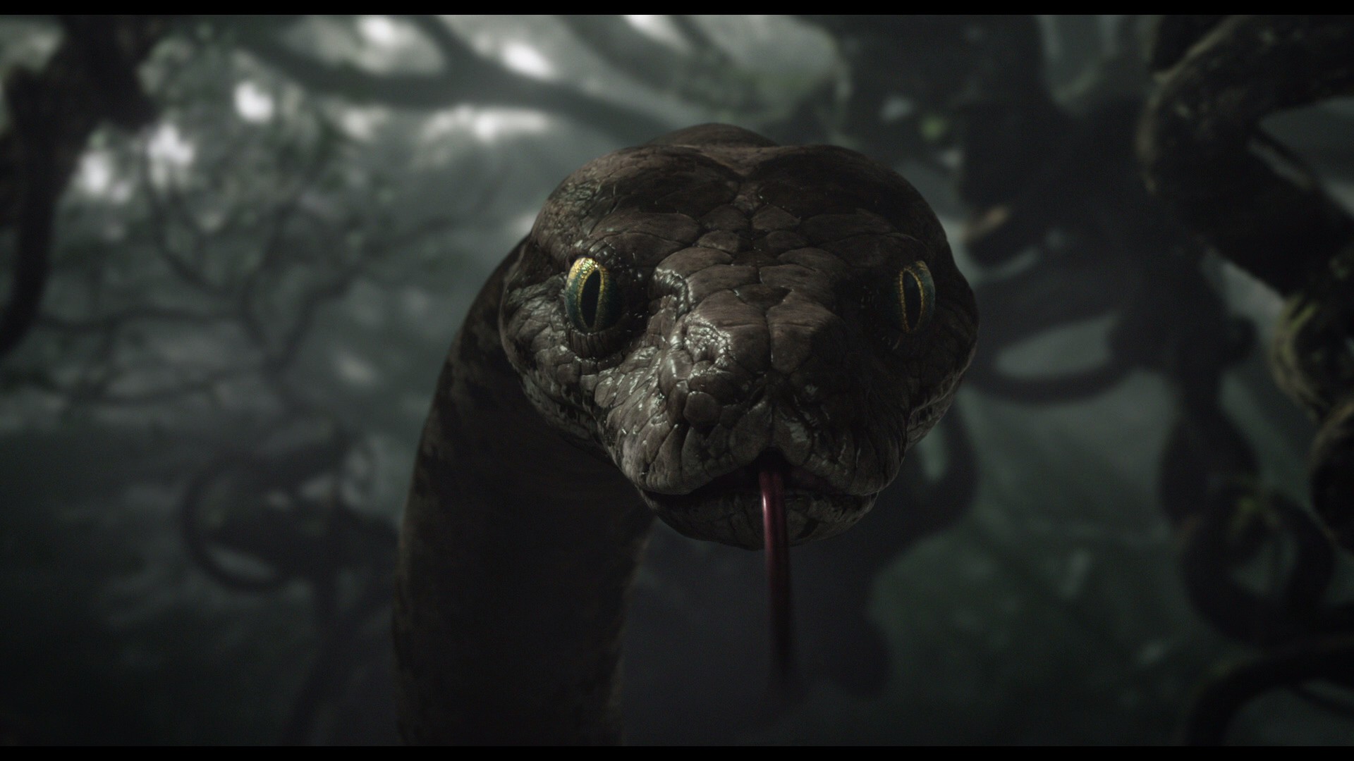 The Jungle Book (2016) —  shot,  lighting