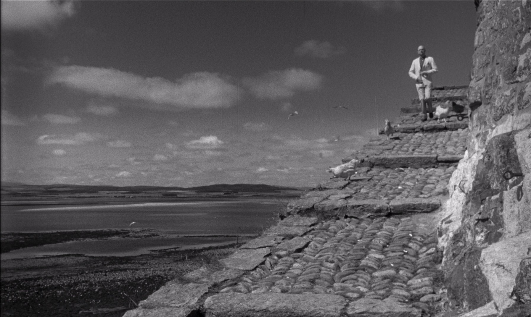 Cul-de-sac (1966) —  shot,  lighting