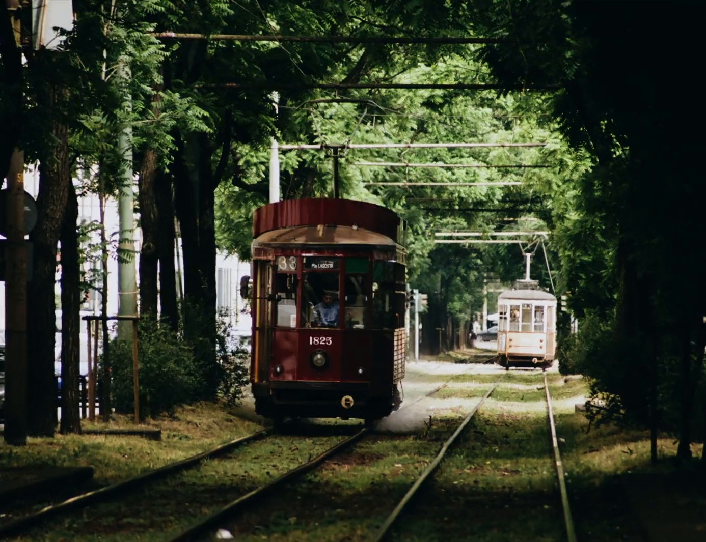 GUCCI - MEN SS25 - SHOW TEASER (2024) —  shot,  lighting