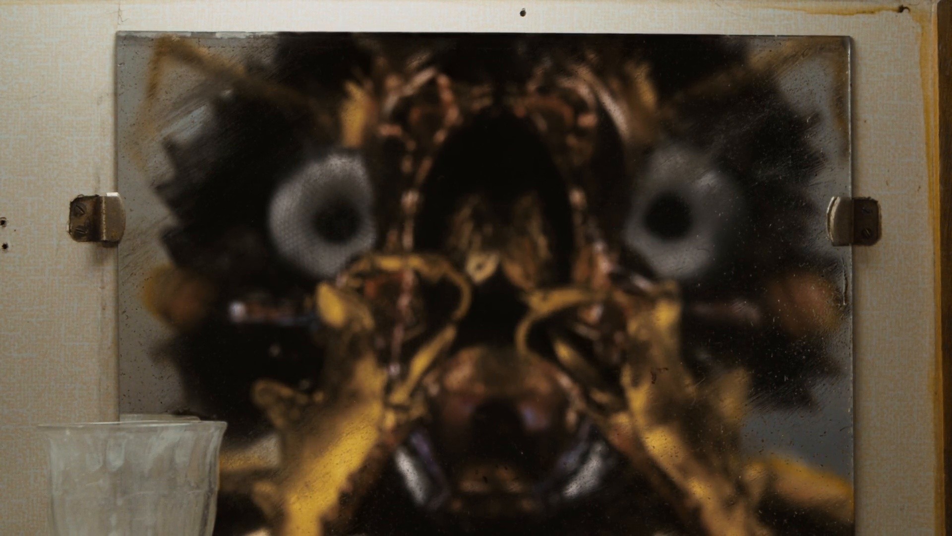 Insect (2018) —  shot,  lighting