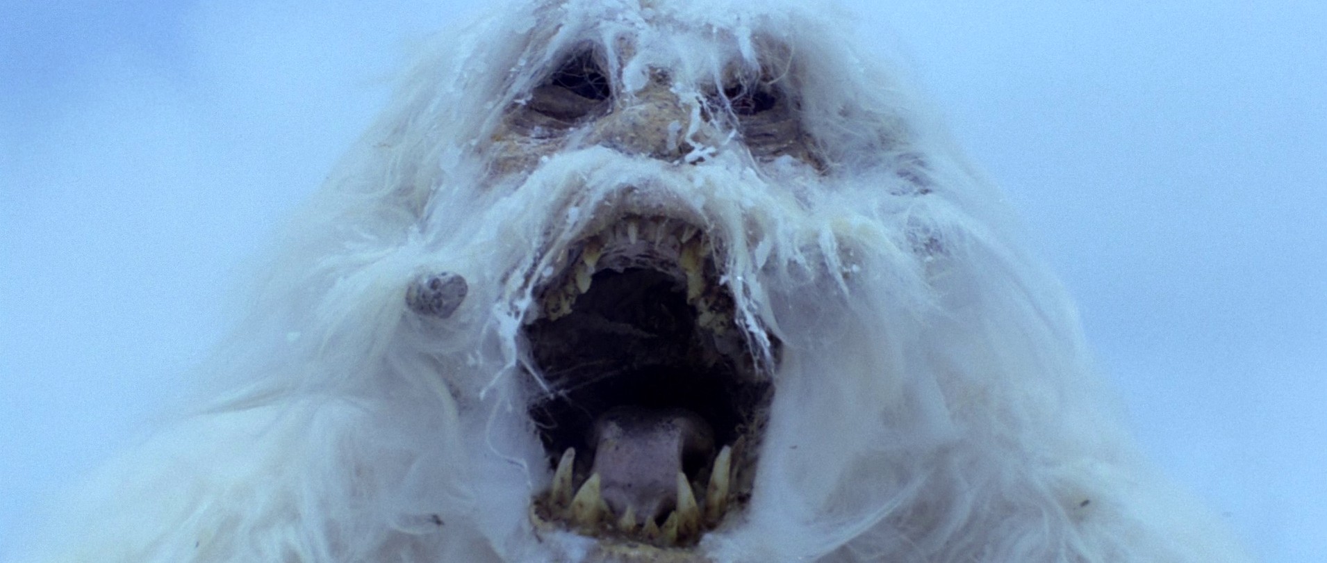 Star Wars: Episode V - The Empire Strikes Back (1980) —  shot,  lighting