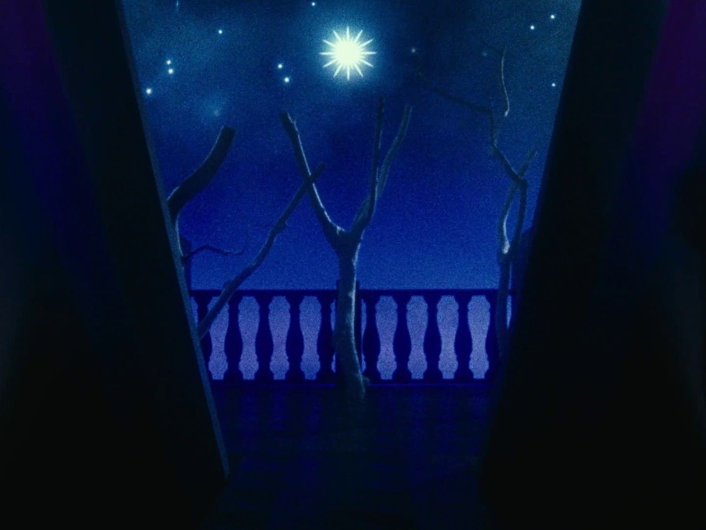 The Twentieth Century (2020) —  shot,  lighting