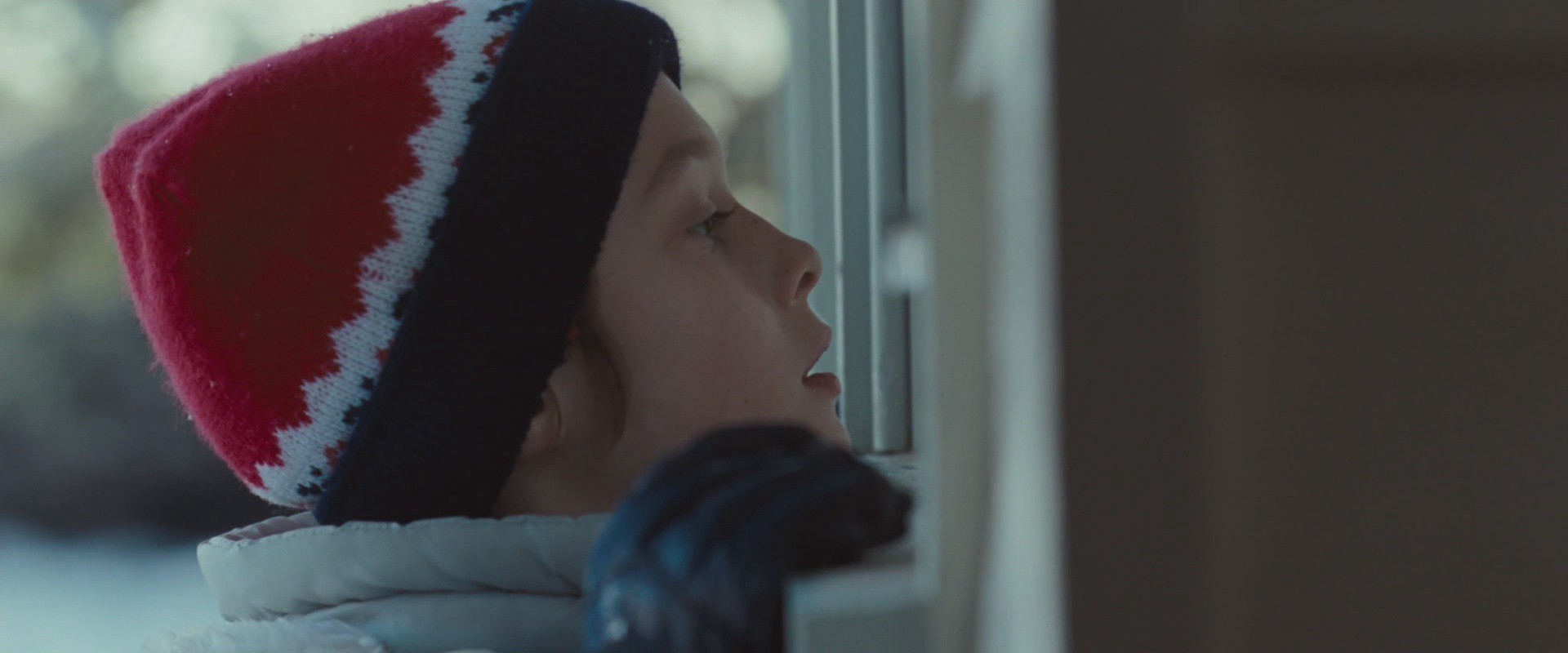 Where the Wild Things Are (2009) —  shot,  lighting