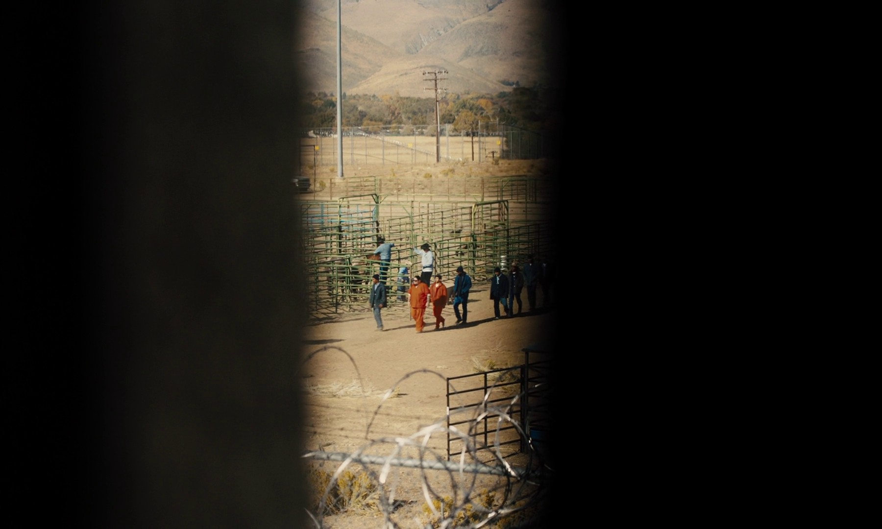 The Mustang (2019) —  shot,  lighting