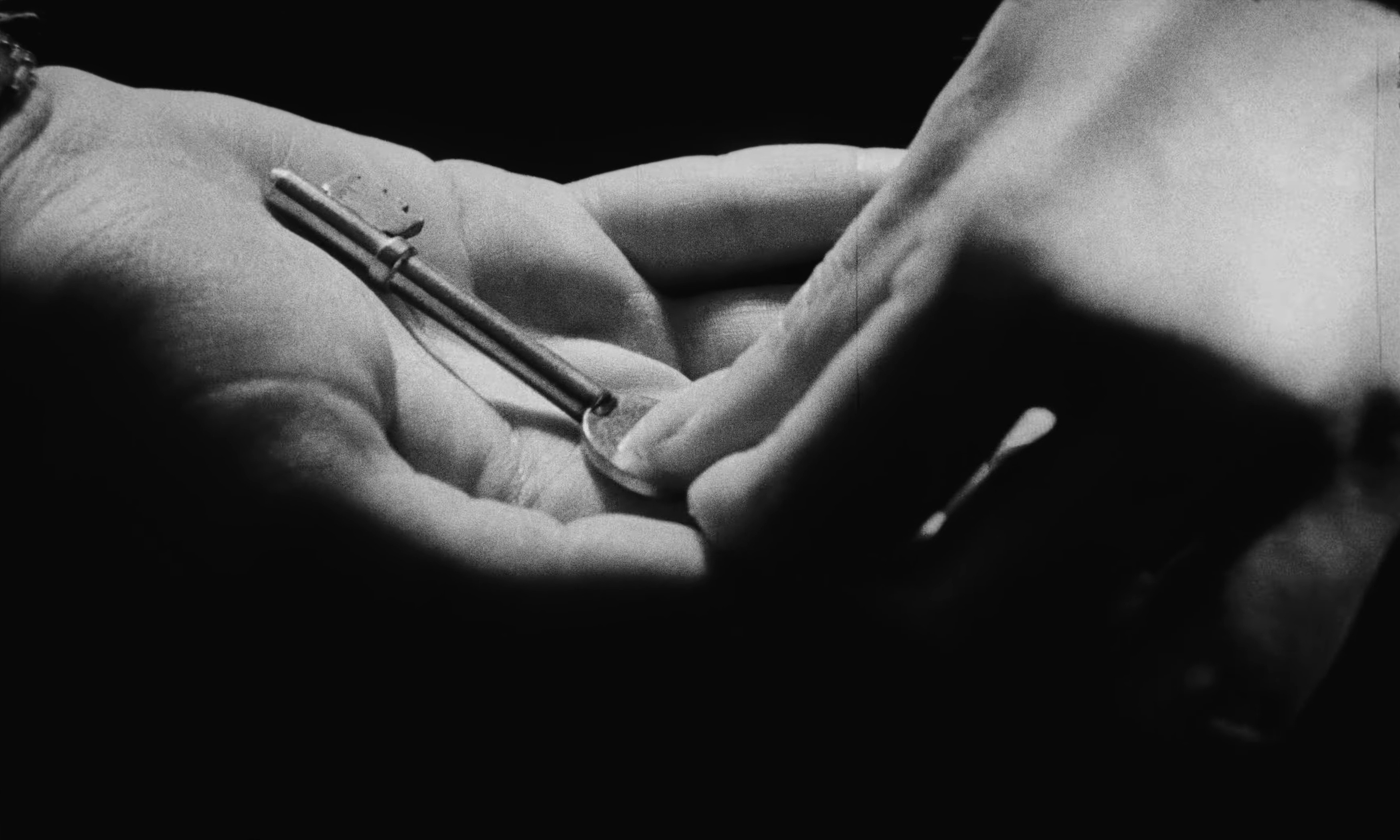 Solstice (2025) —  shot,  lighting