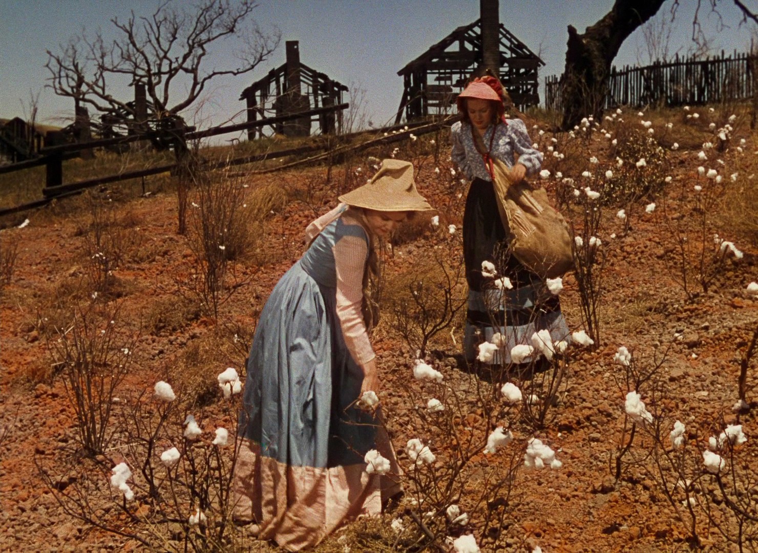 Gone with the Wind (1939) —  shot,  lighting