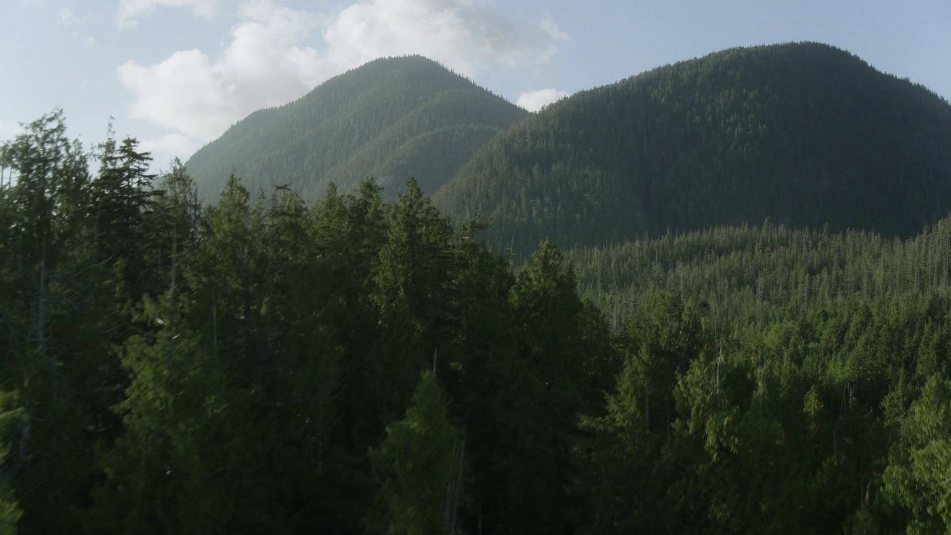 Islands (2023) —  shot,  lighting