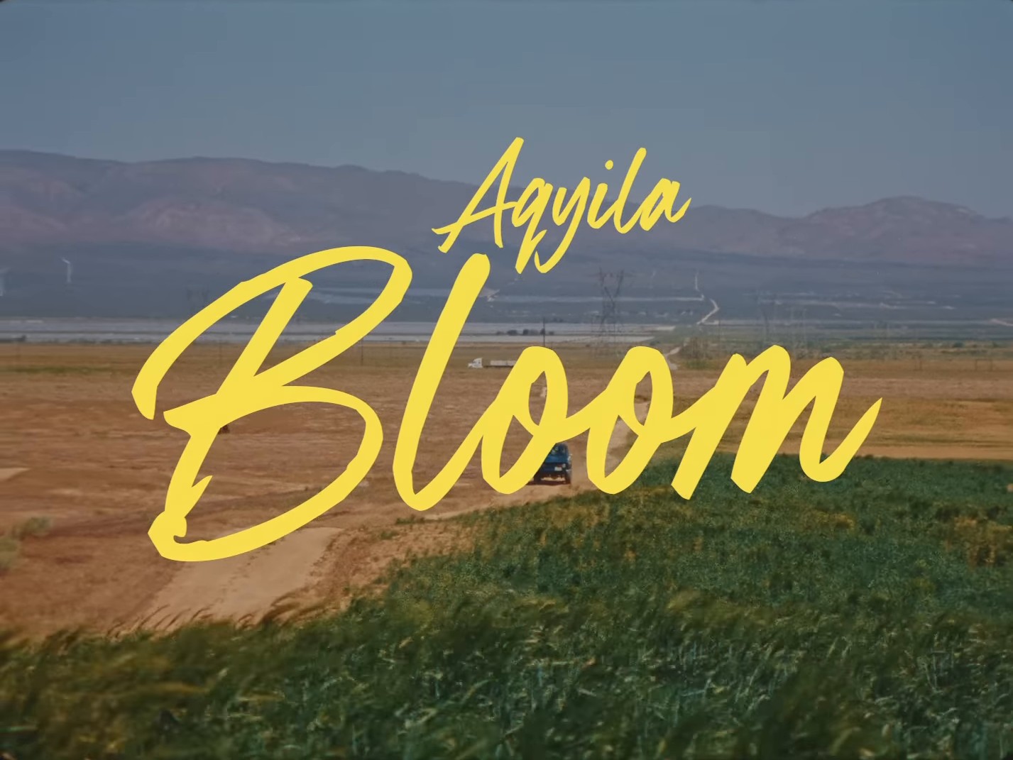 Bloom (2024) —  shot,  lighting
