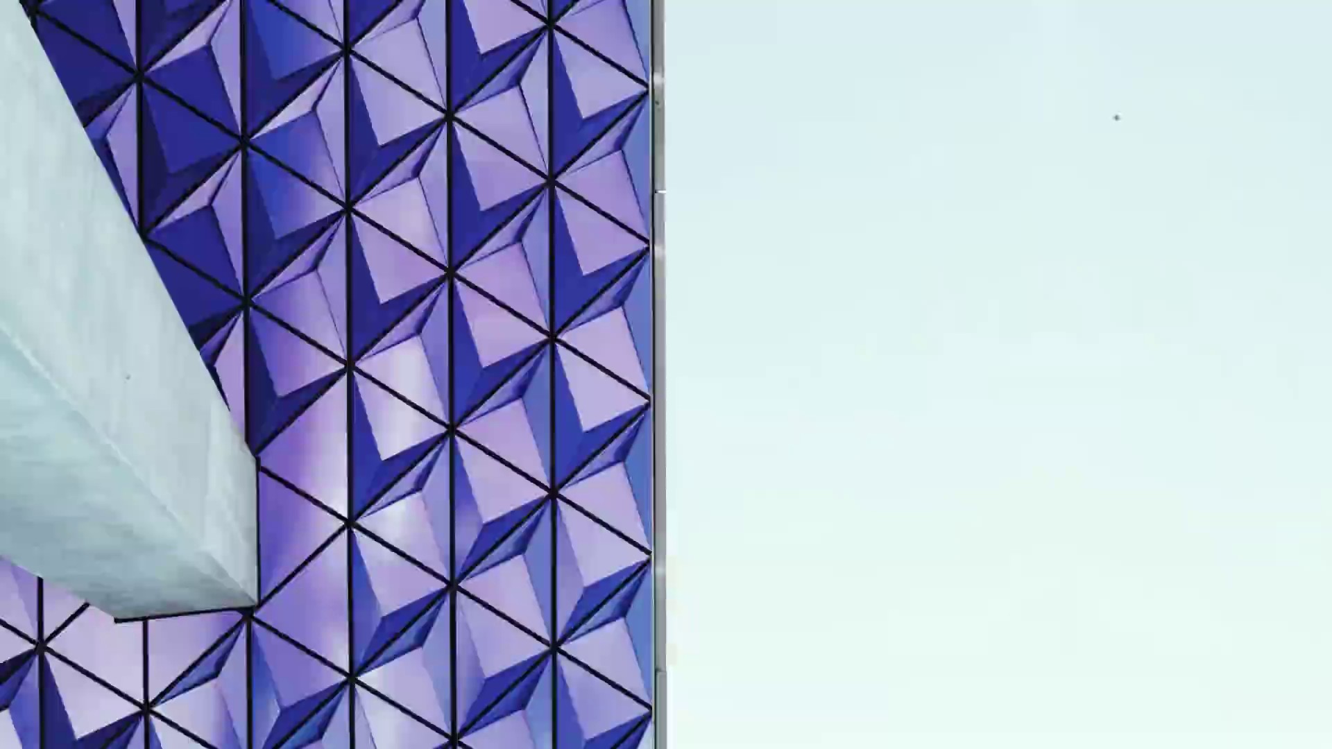 The Prey  (2021) —  shot,  lighting