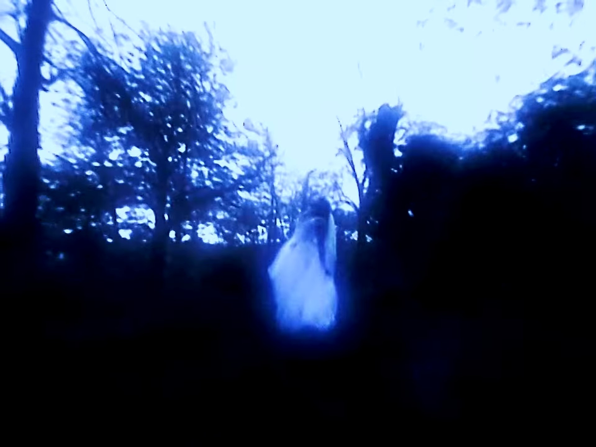 PROJECTIONS (2024) —  shot,  lighting