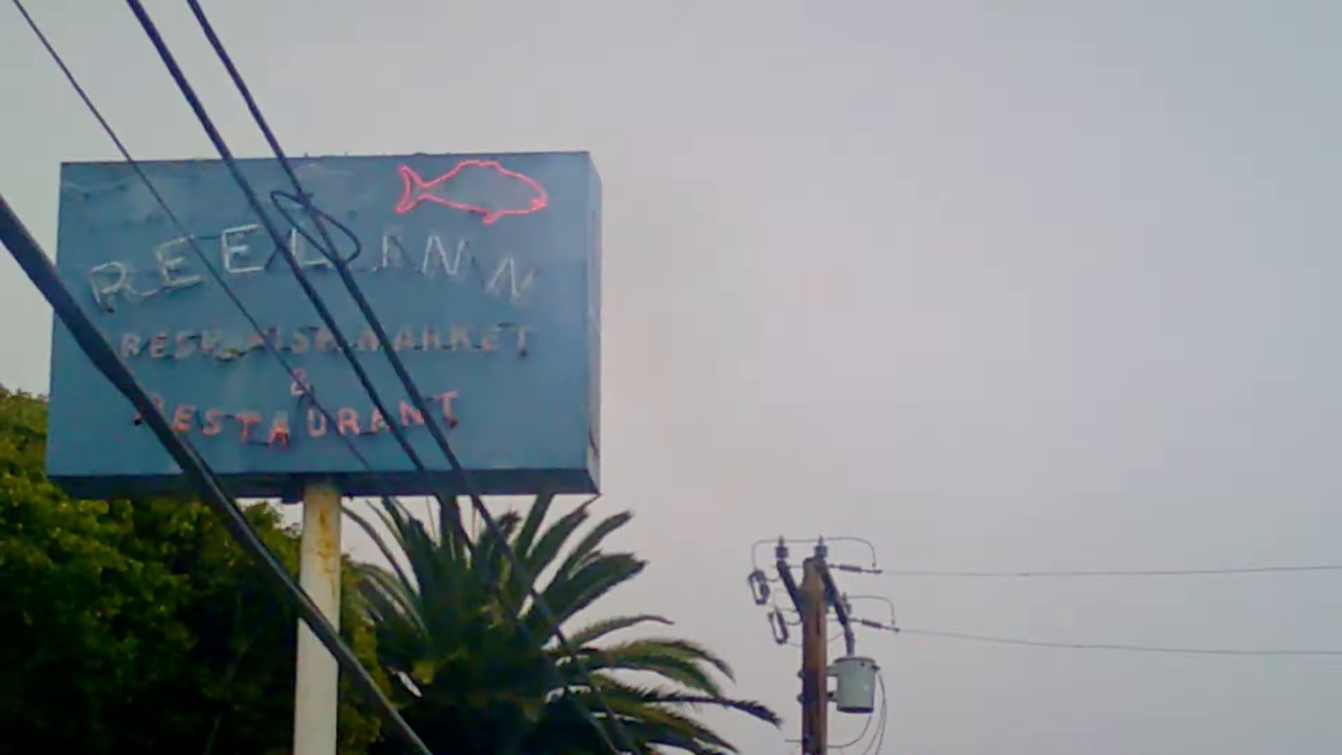 Coming Back For More (2024) —  shot,  lighting