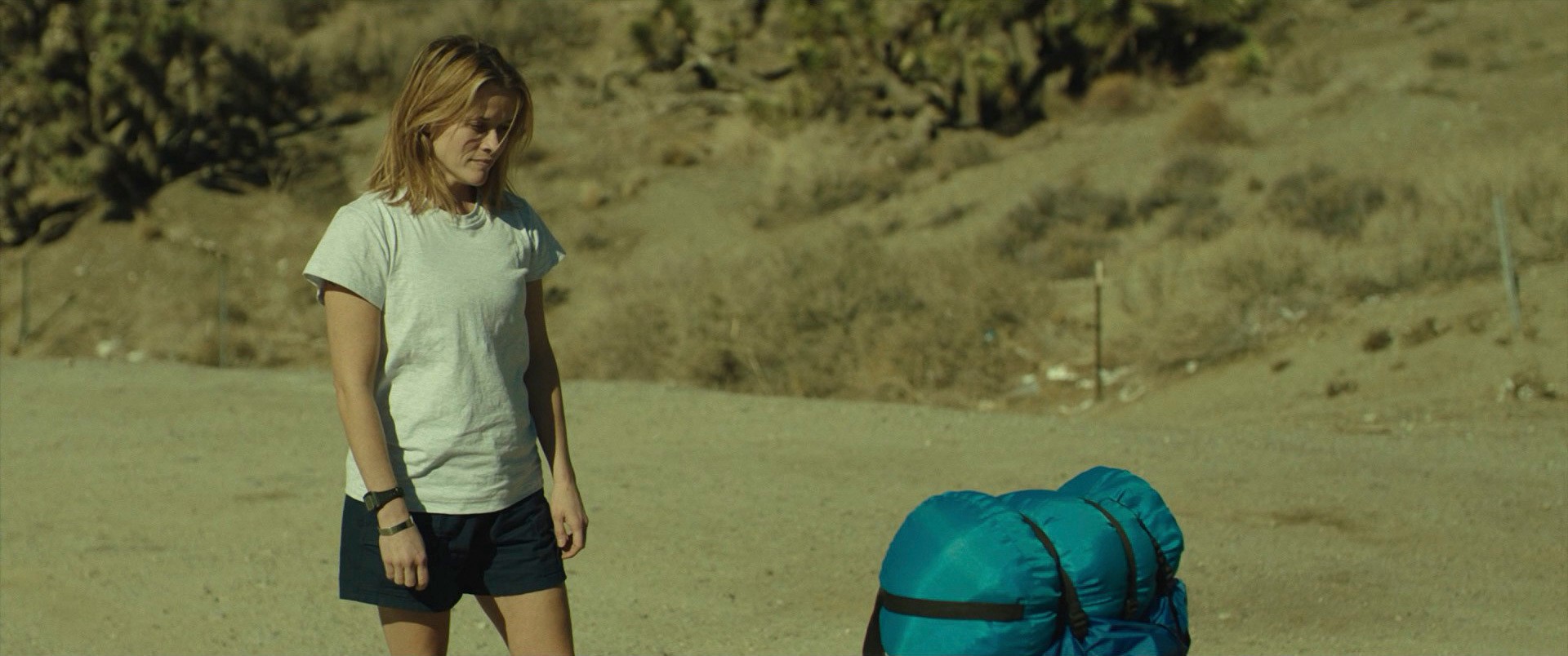 Wild (2014) —  shot,  lighting