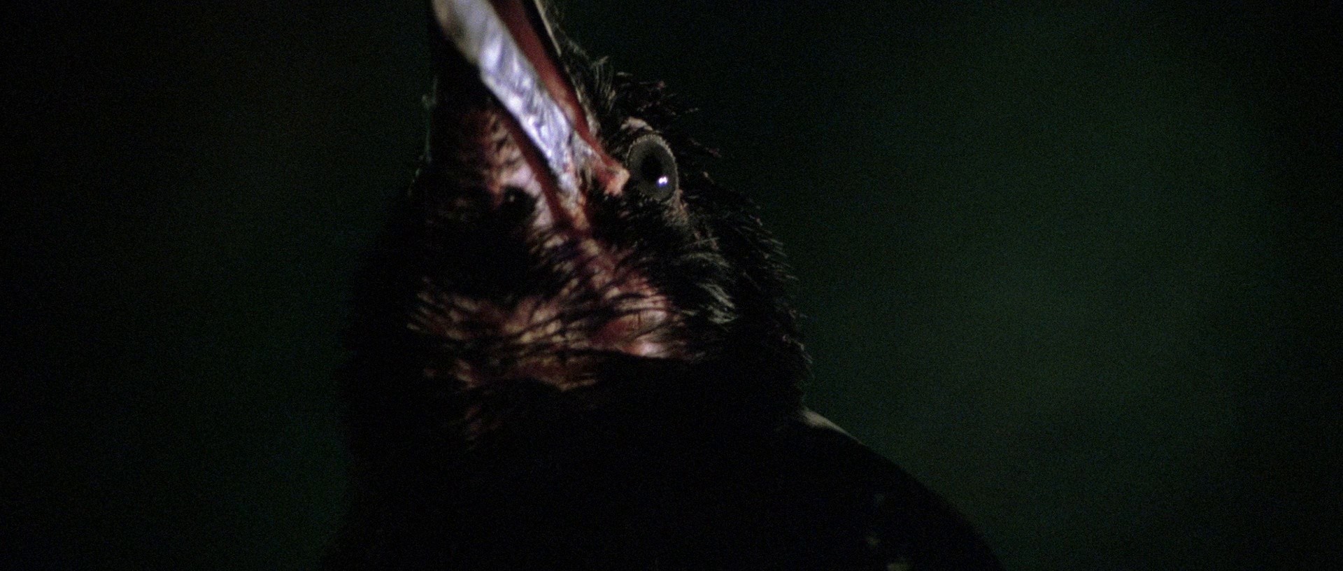 Santet (1988) —  shot,  lighting