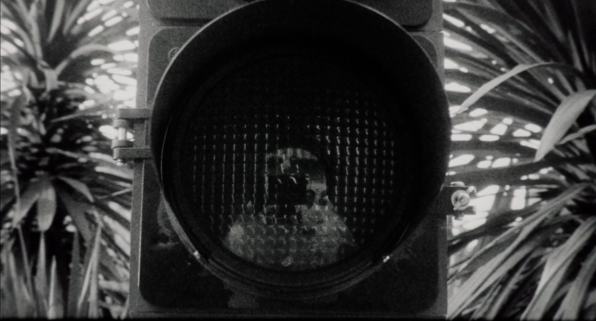 Women on the Verge of a Nervous Breakdown (1988) —  shot,  lighting