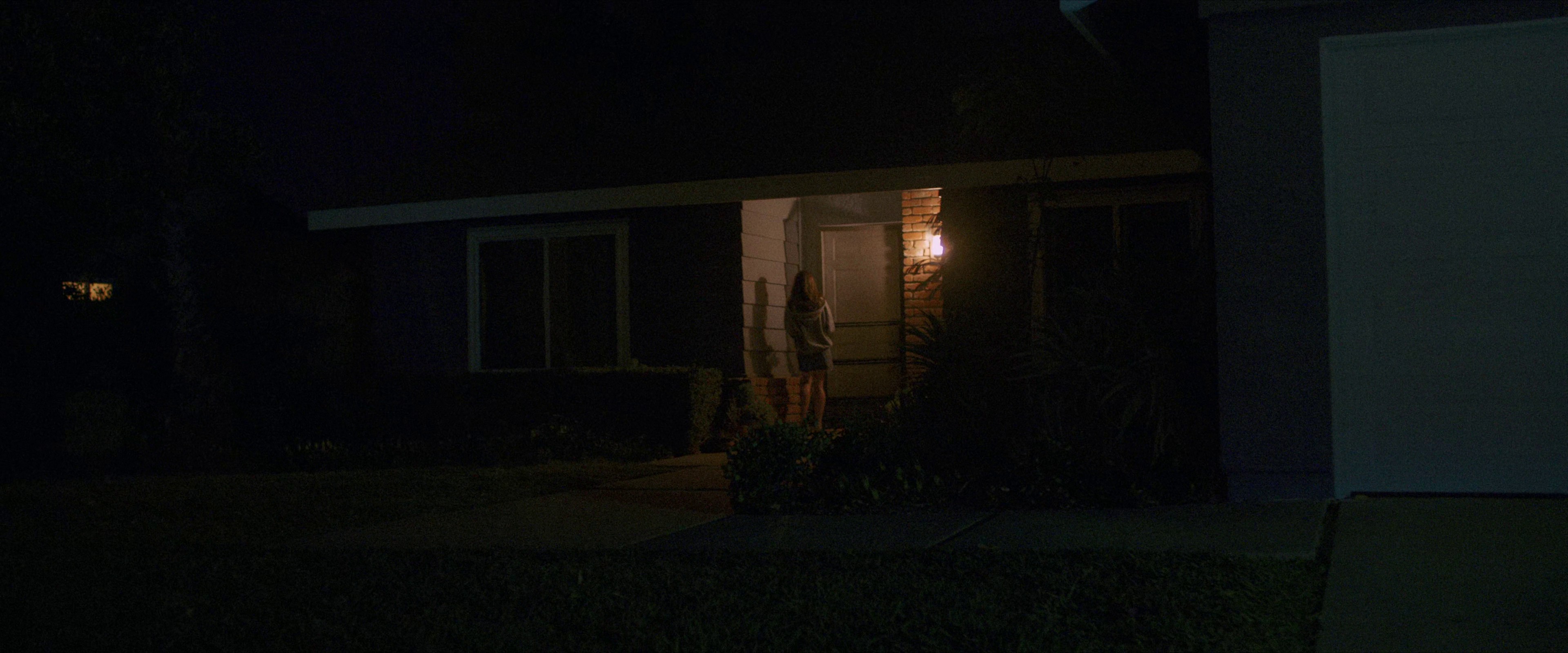 Palm Trees and Power Lines (2023) —  shot,  lighting
