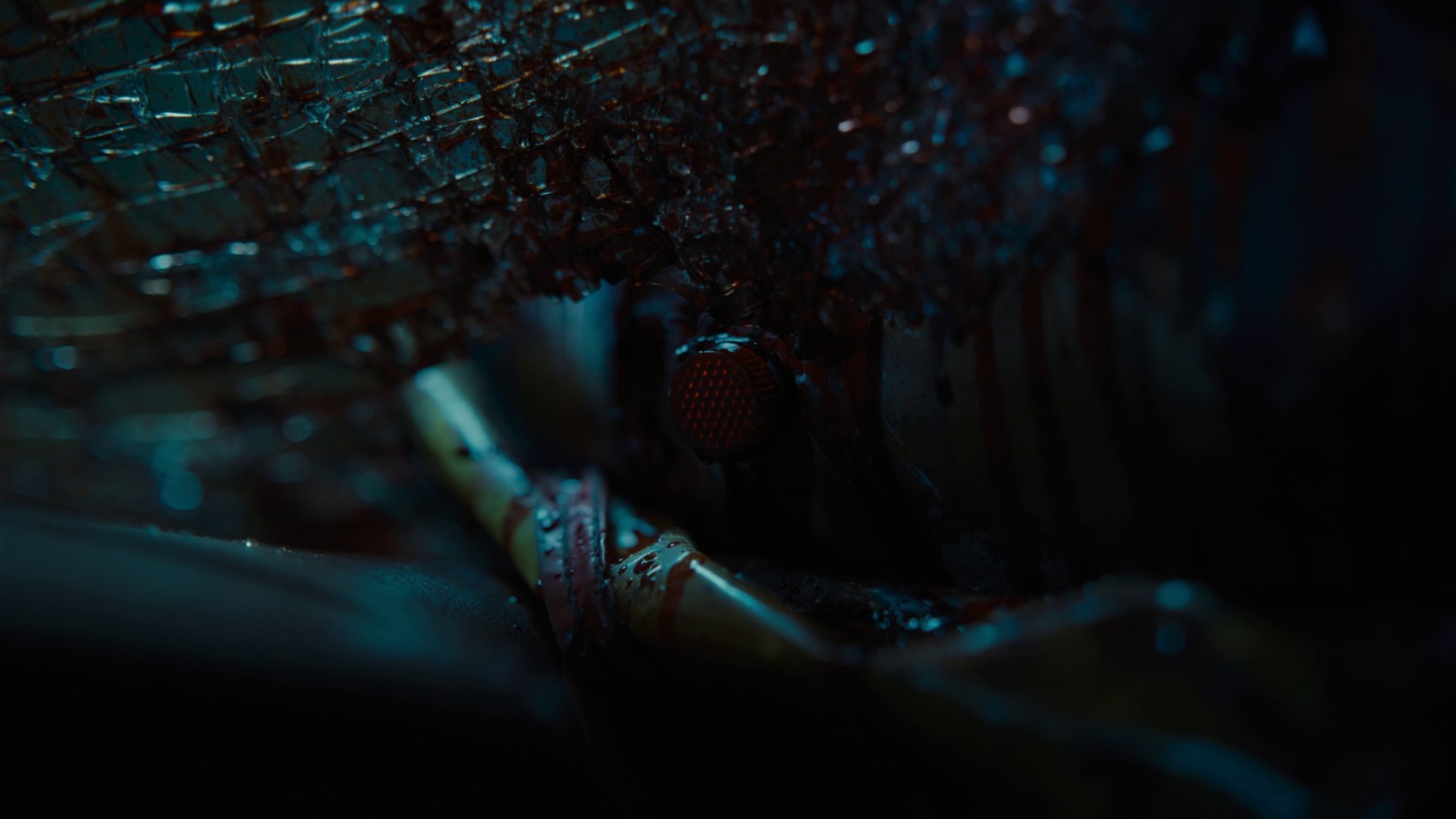 Nope (2022) —  shot,  lighting