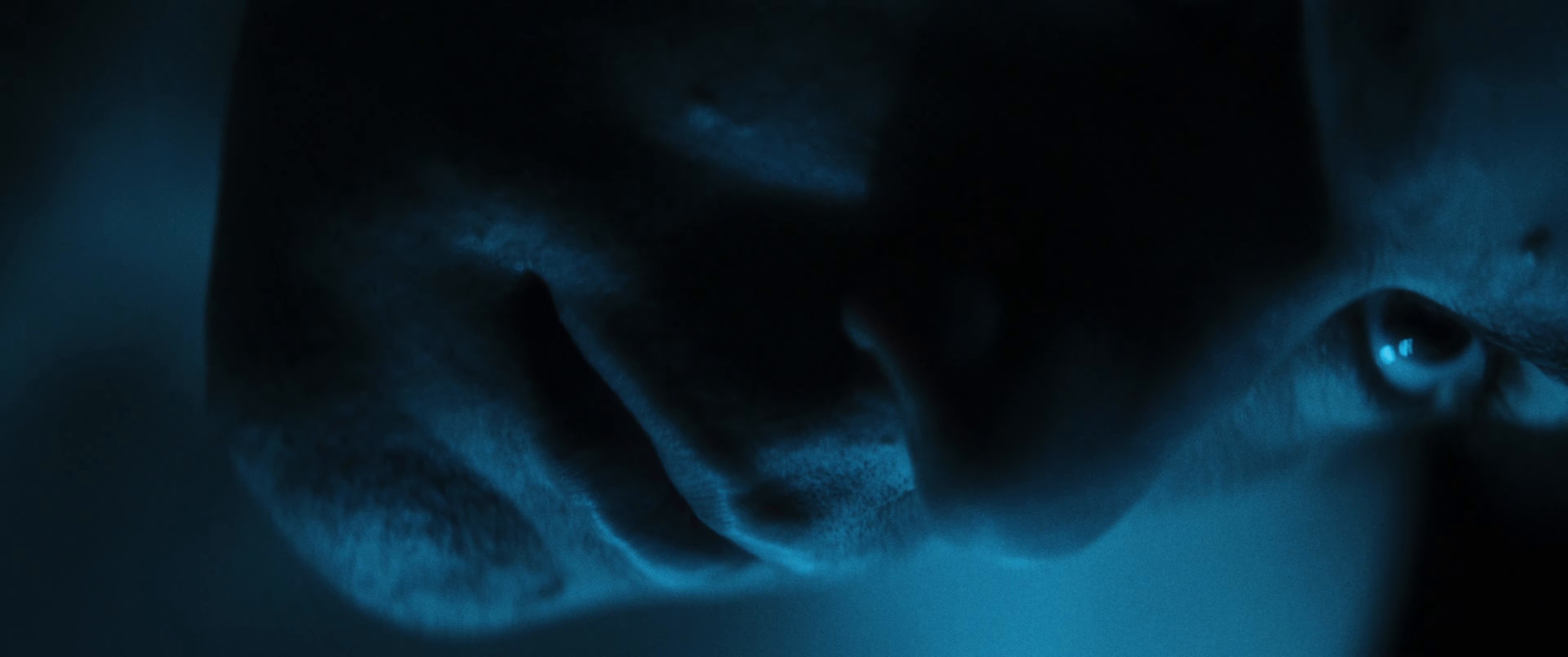 Morning Star (2024) —  shot,  lighting