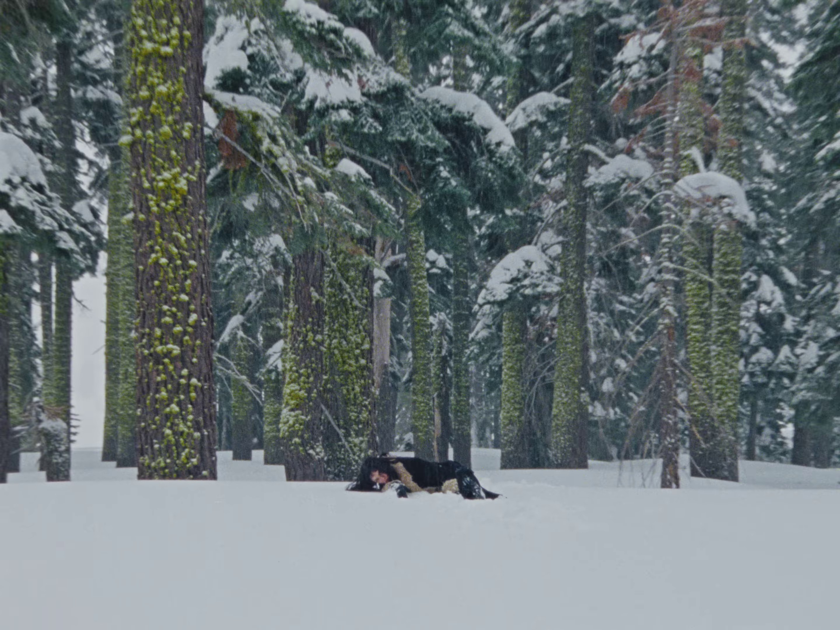 Lejos De Ti (2024) —  shot,  lighting