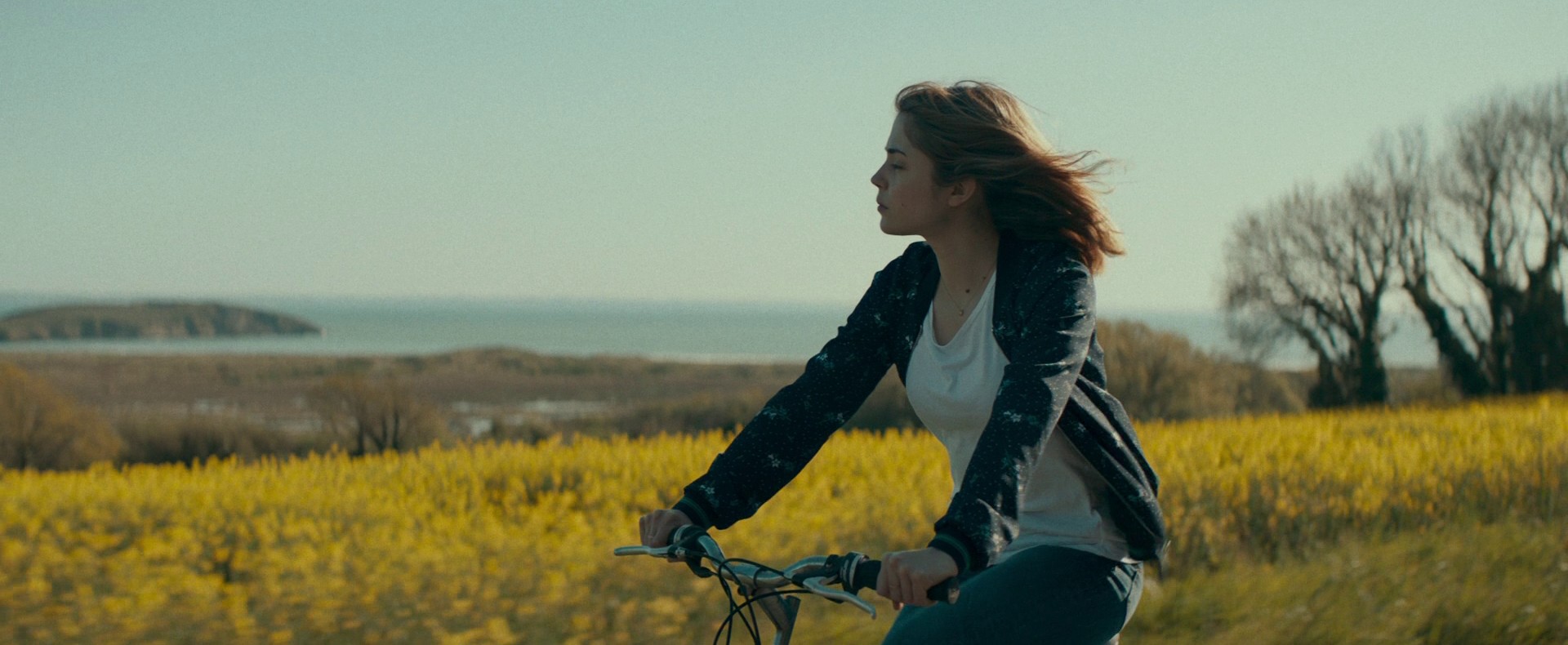 The Mystery of Henri Pick (2019) —  shot,  lighting