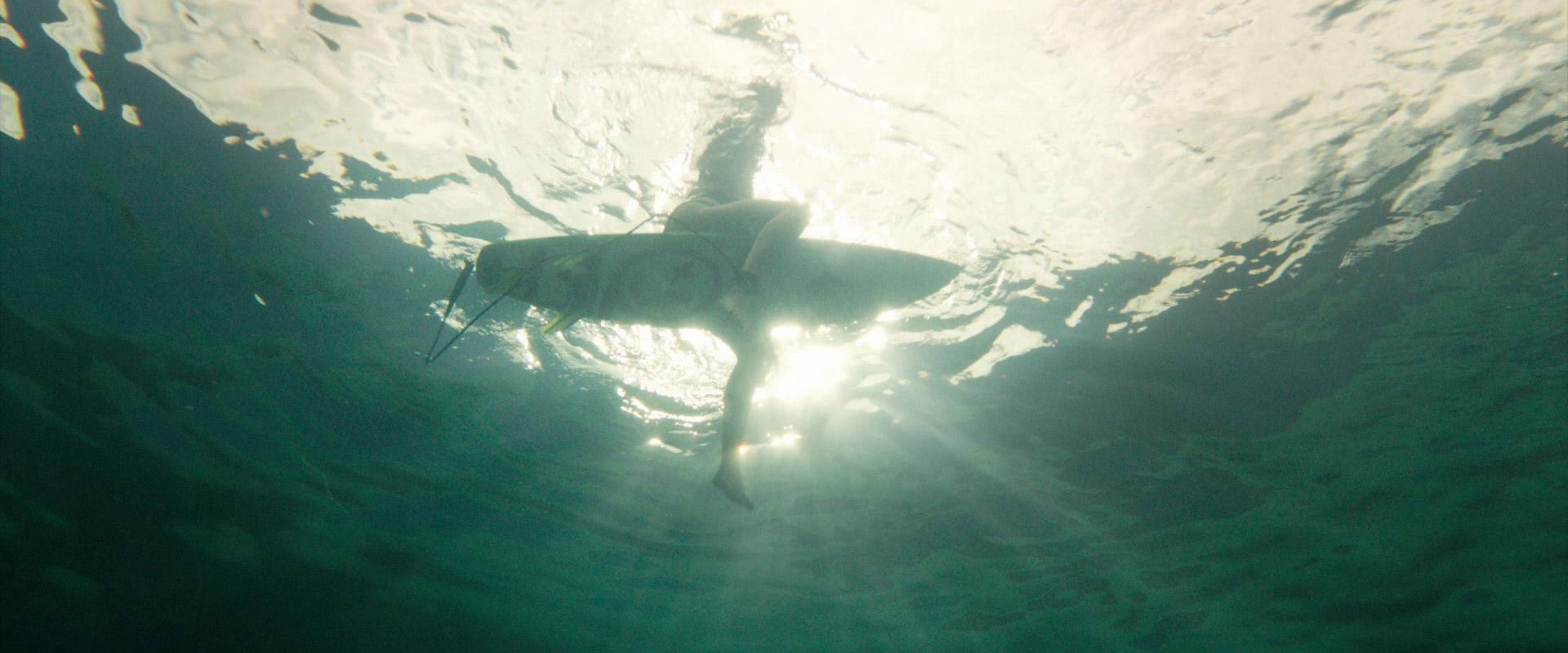 The Shallows (2016) —  shot,  lighting