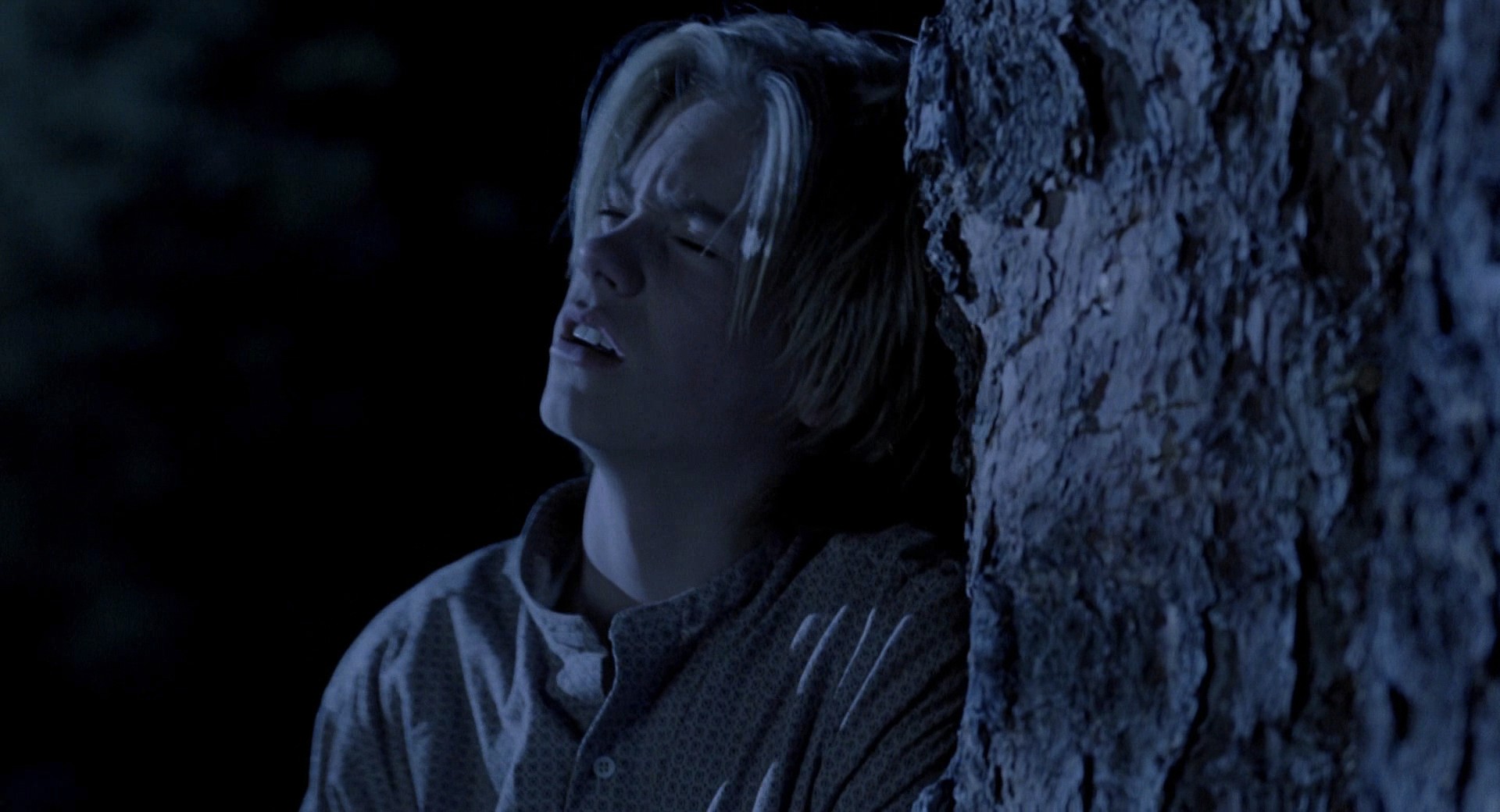 Legends of the Fall (1994) —  shot,  lighting