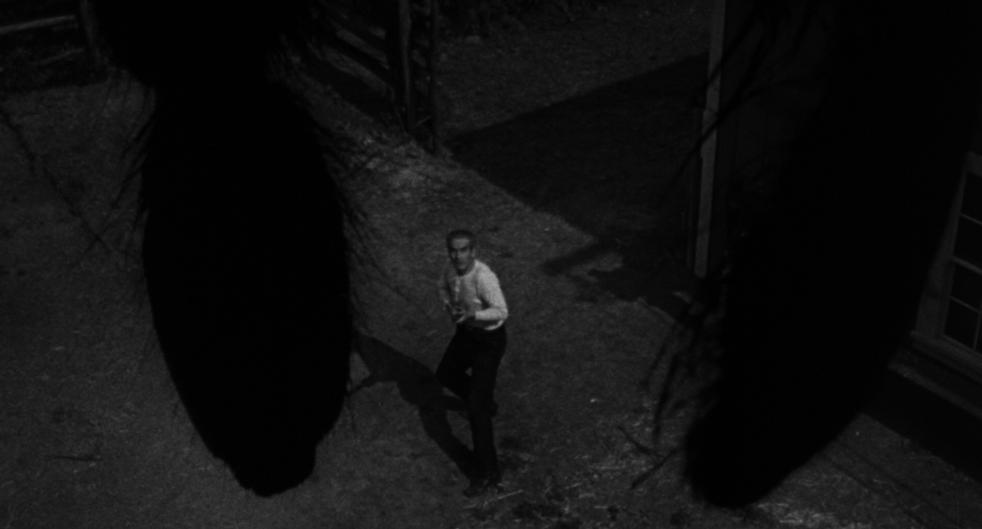 Tarantula (1955) —  shot,  lighting