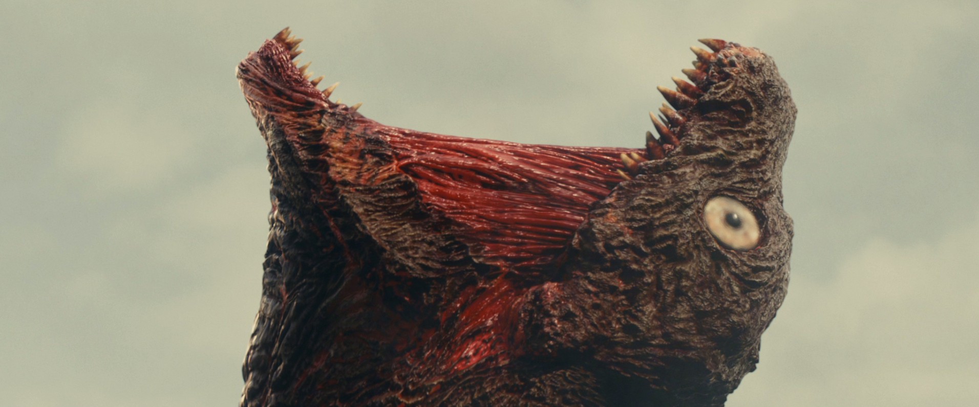 Shin Godzilla (2016) —  shot,  lighting