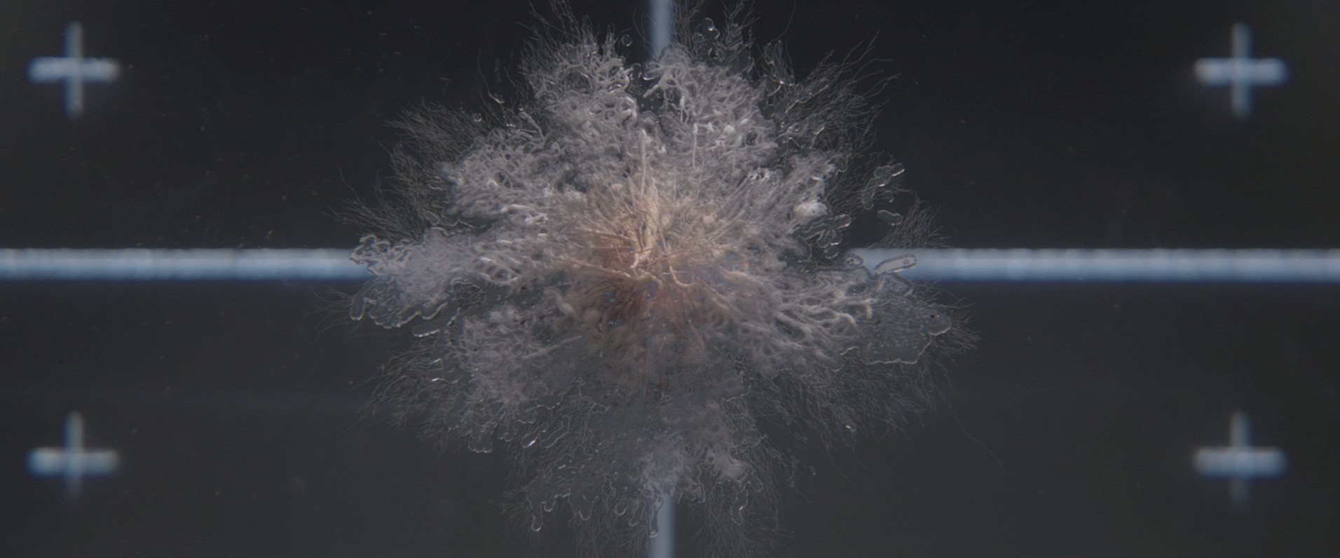 Life (2017) —  shot,  lighting