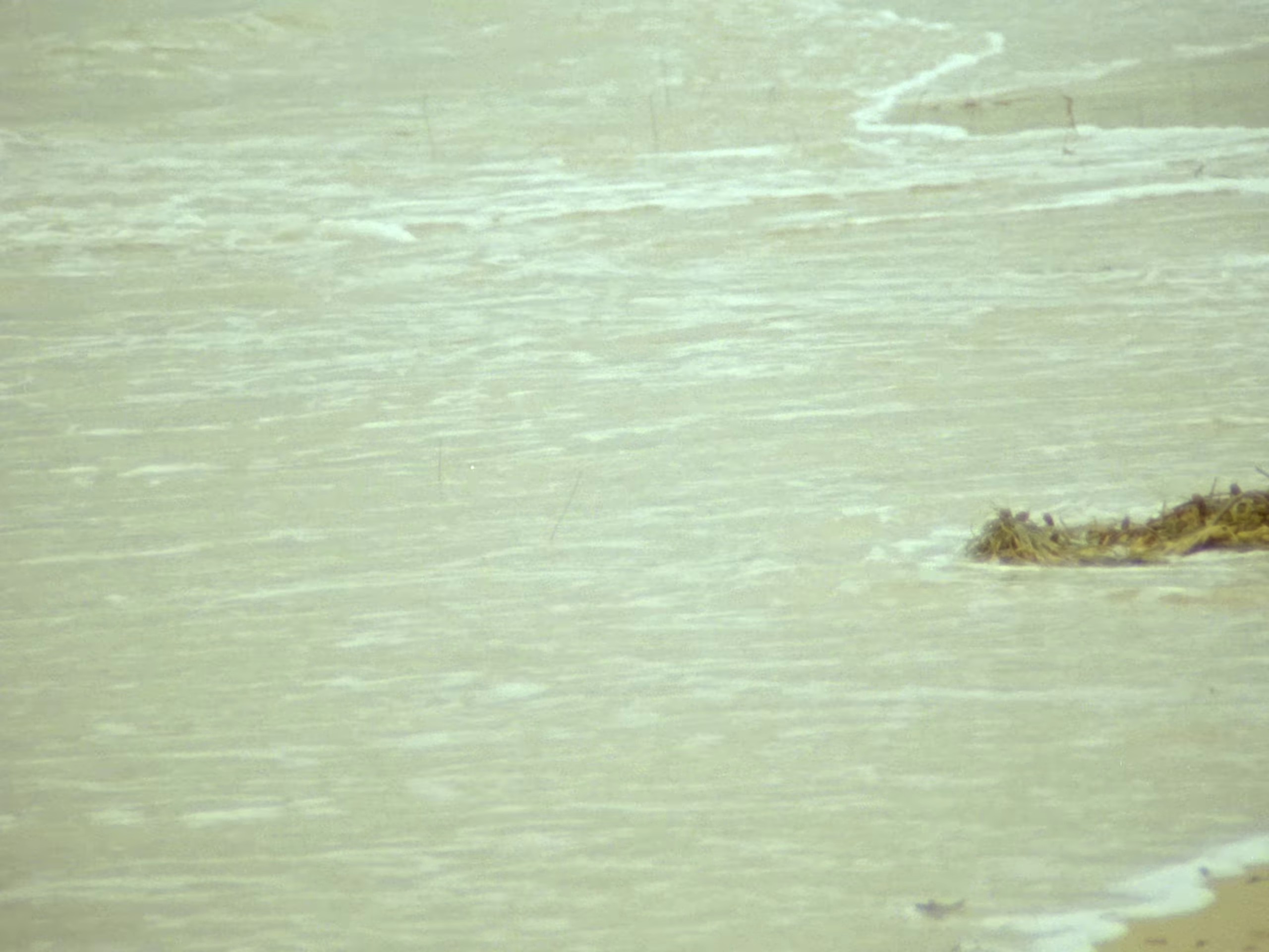 Saturn Returning (2023) —  shot,  lighting