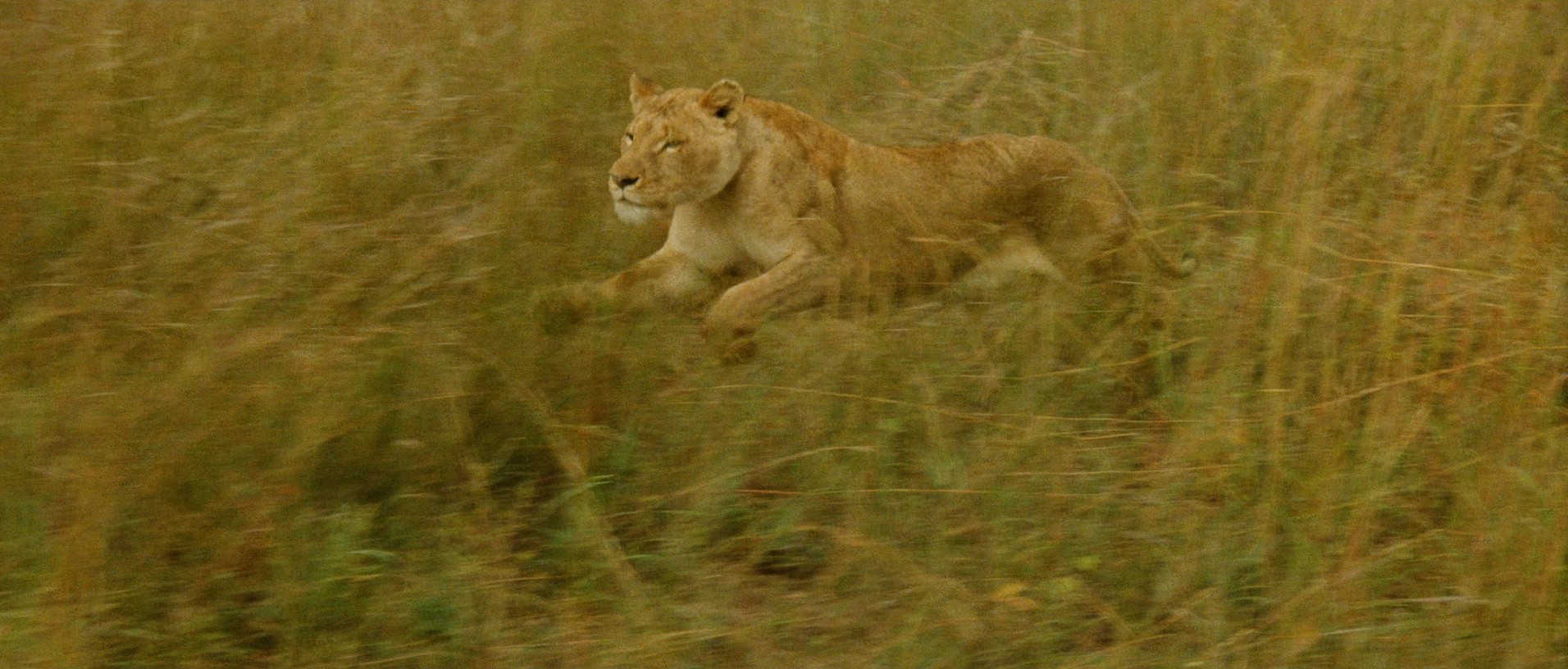 Itinéraire d'un enfant gâté (1988) —  shot,  lighting