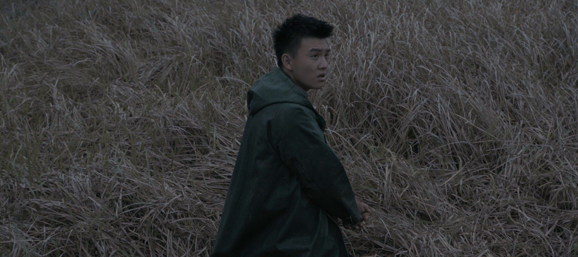 Bao xue jiang zhi (2017) —  shot,  lighting