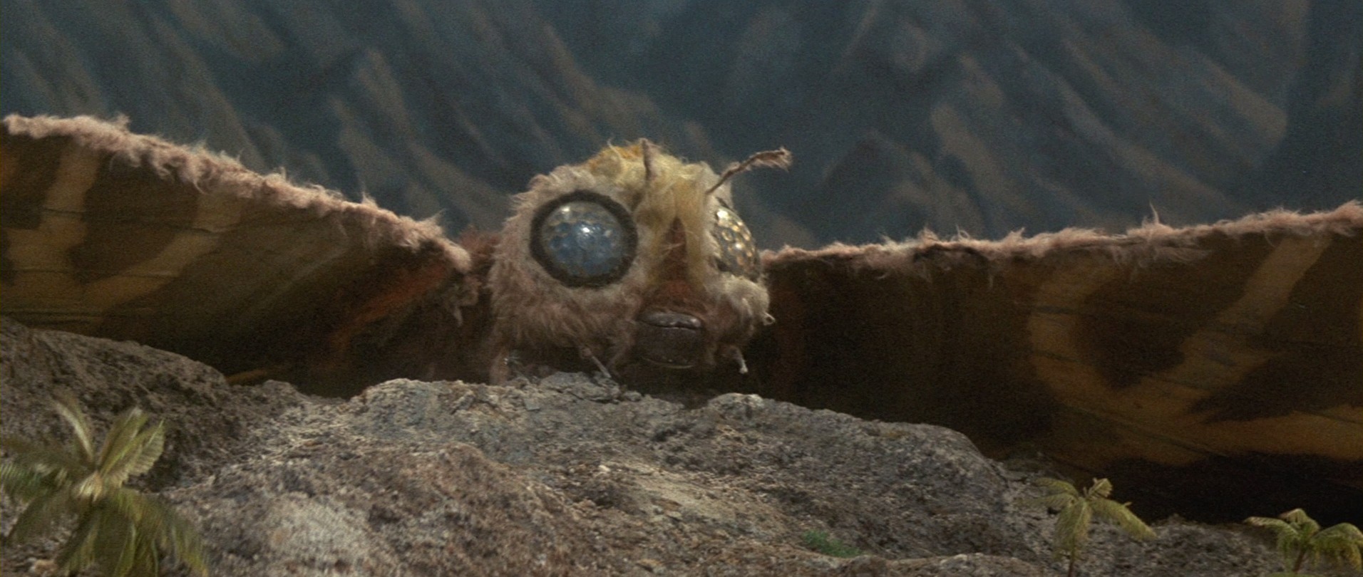 Ebirah, Horror of the Deep (1966) —  shot,  lighting