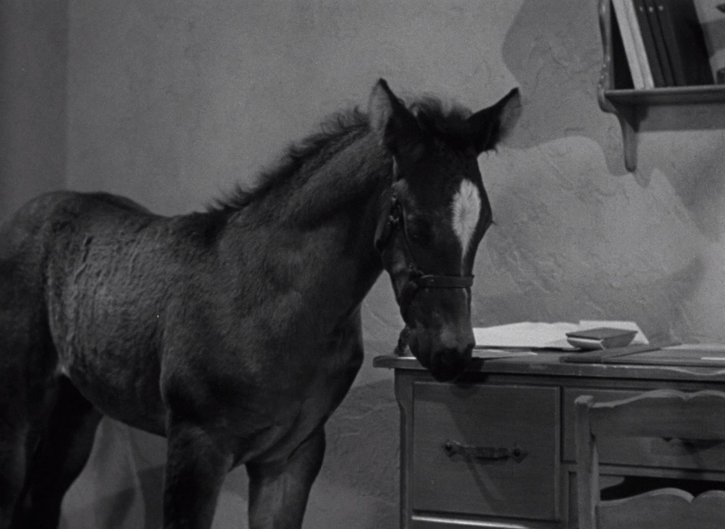 Will Tomorrow Ever Come? (1947) —  shot,  lighting