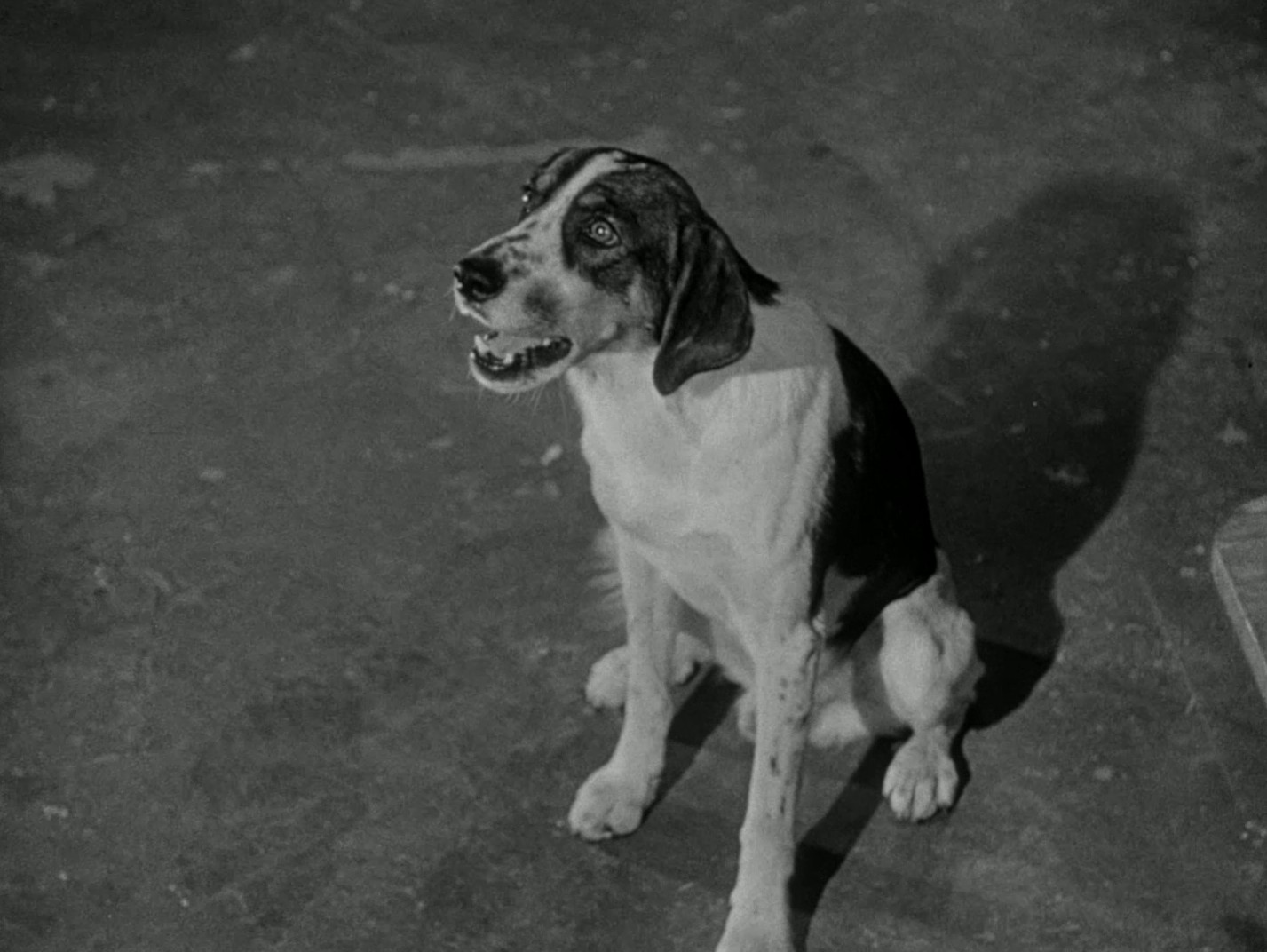 Bait (1954) —  shot,  lighting