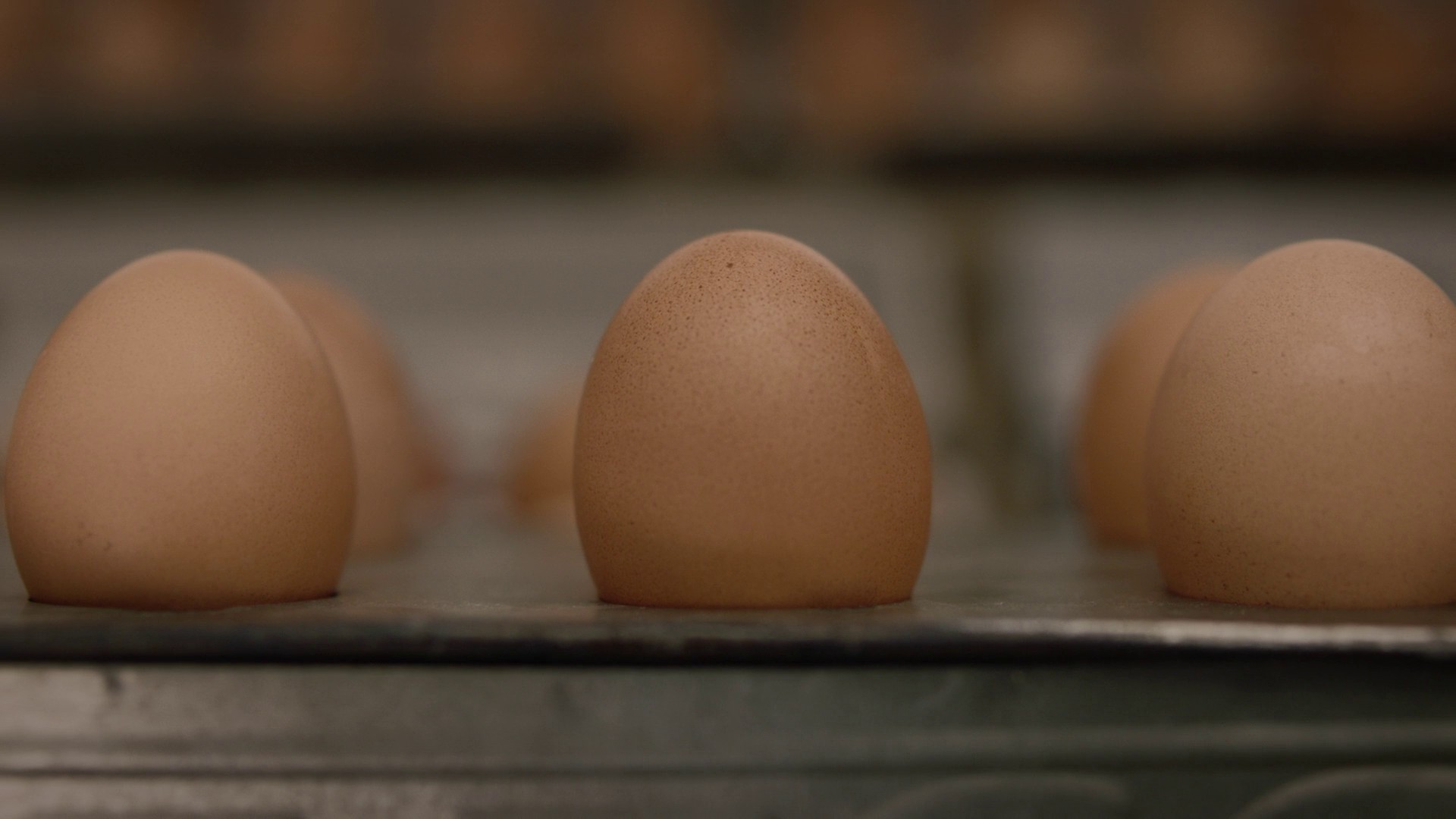 If You Don't Like My Story, Write Your Own (2019) —  shot,  lighting