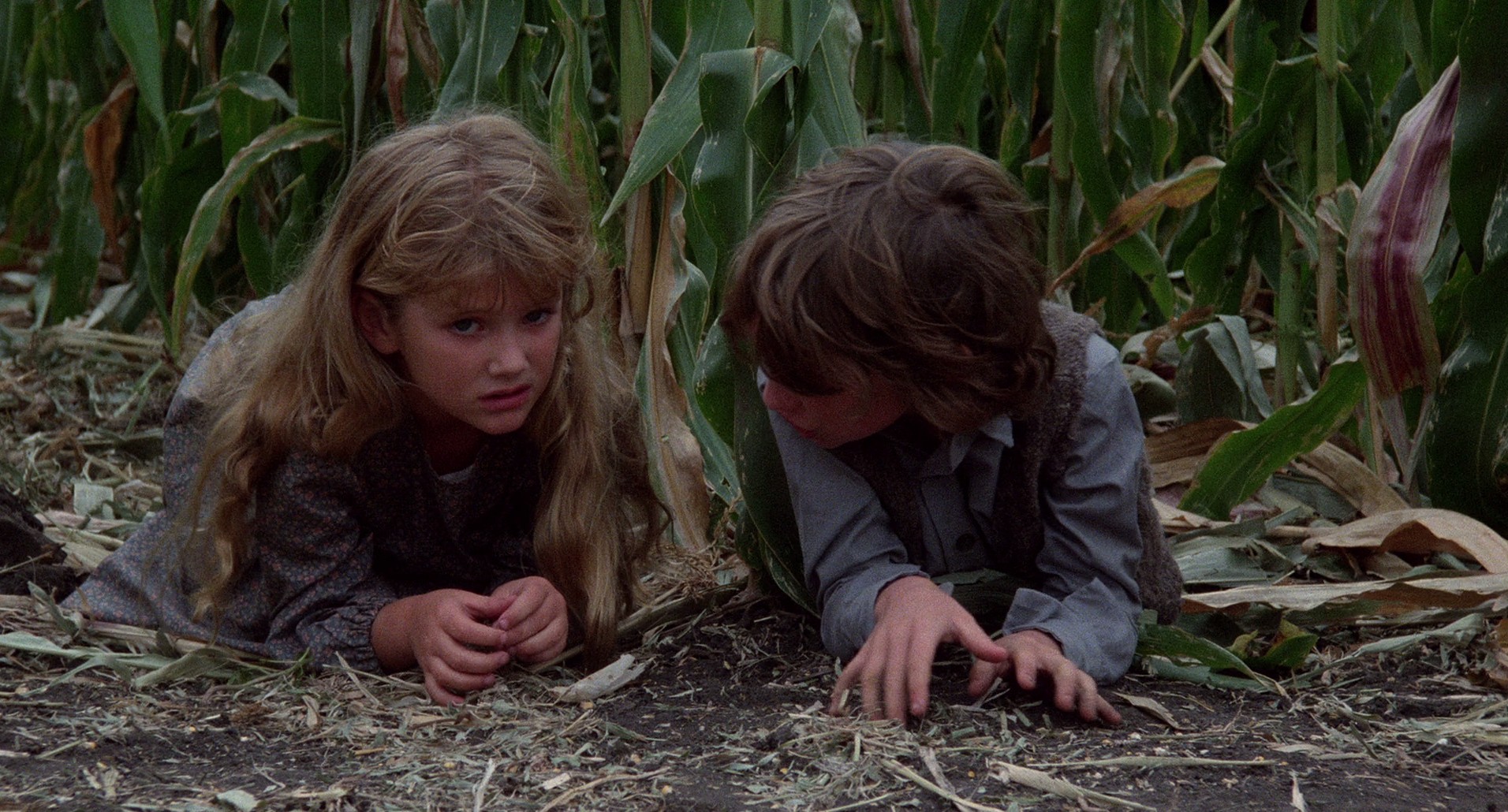 Children of the Corn (1984) —  shot,  lighting