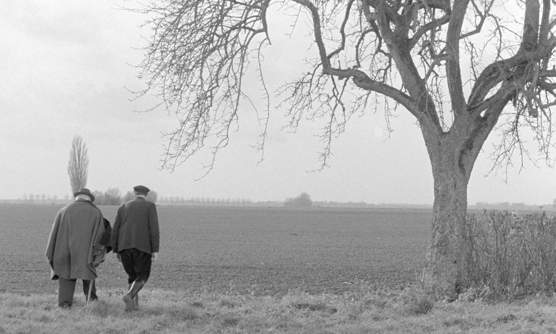 The President (1961) —  shot,  lighting