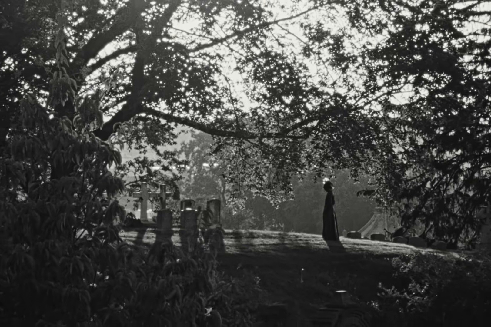 Mr. MoodBoard (2025) —  shot,  lighting