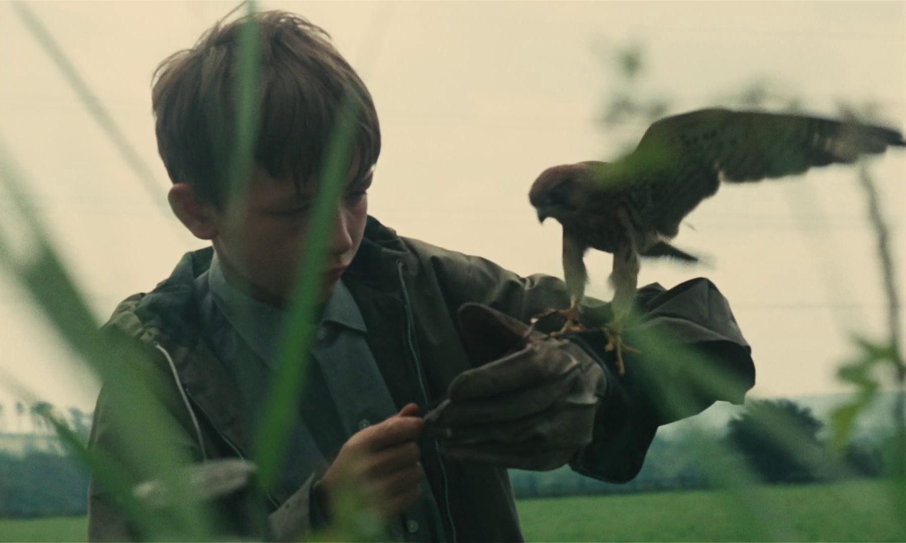Kes (1969) —  shot,  lighting
