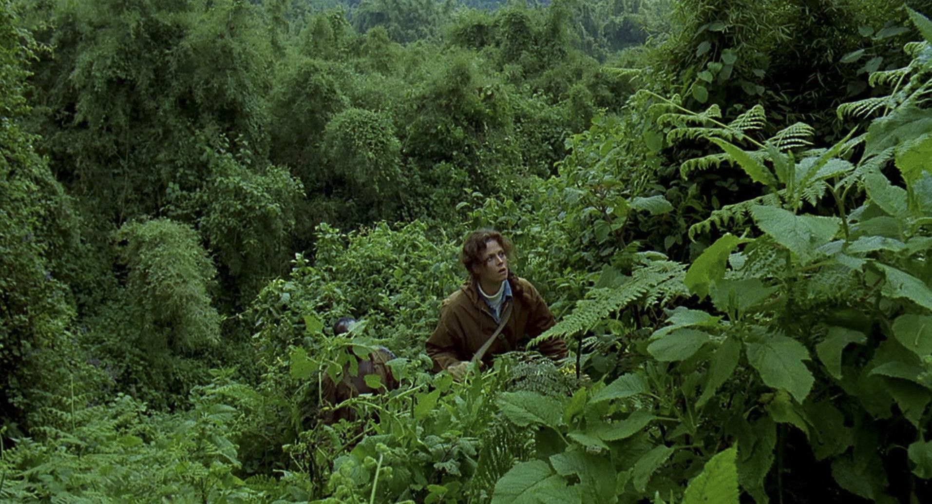 Gorillas in the Mist (1988) —  shot,  lighting