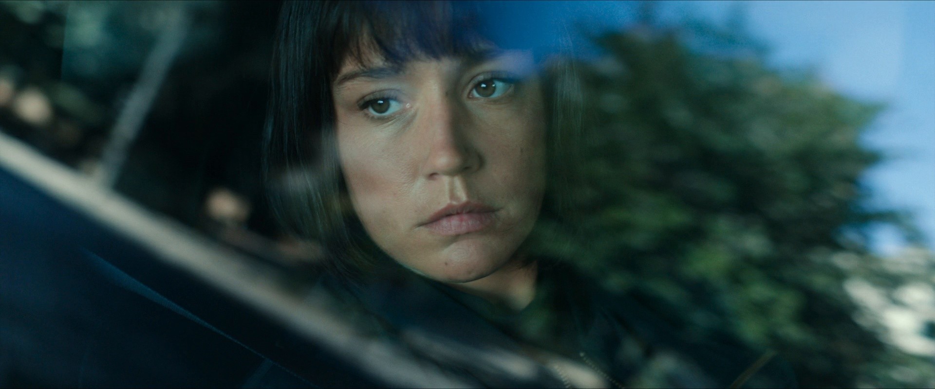 Dog 51 (2025) —  shot,  lighting