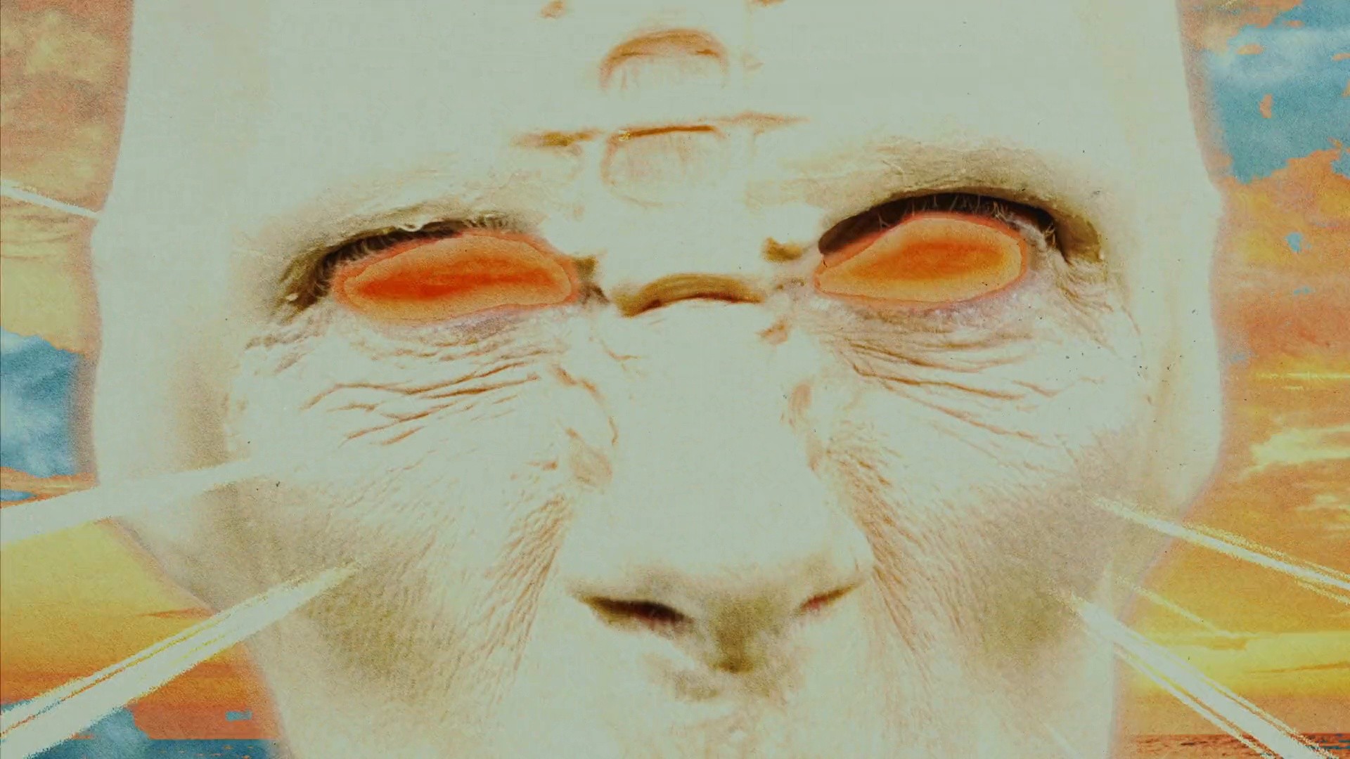 Peace Song (2026) —  shot,  lighting