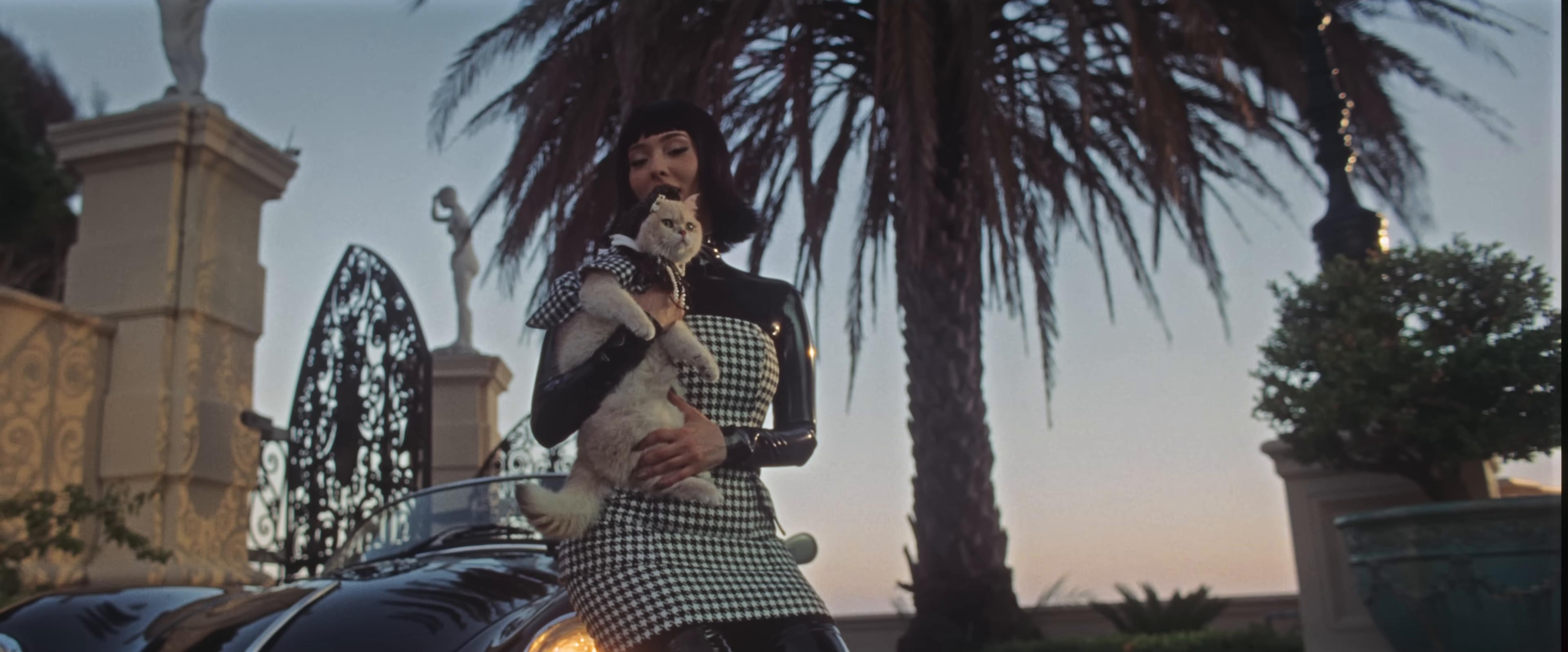 PEACE & VIOLENCE (2025) —  shot,  lighting