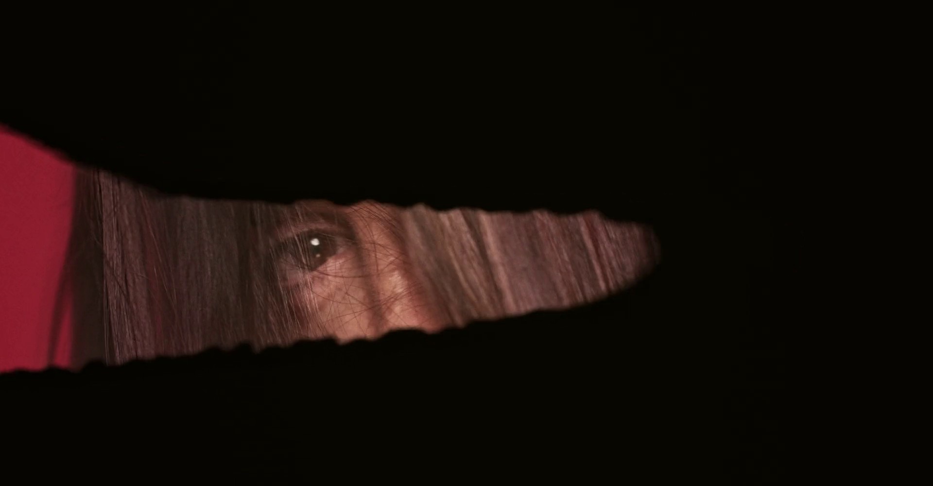 PENÉLOPE CRUZ. Chanel (2024) —  shot,  lighting