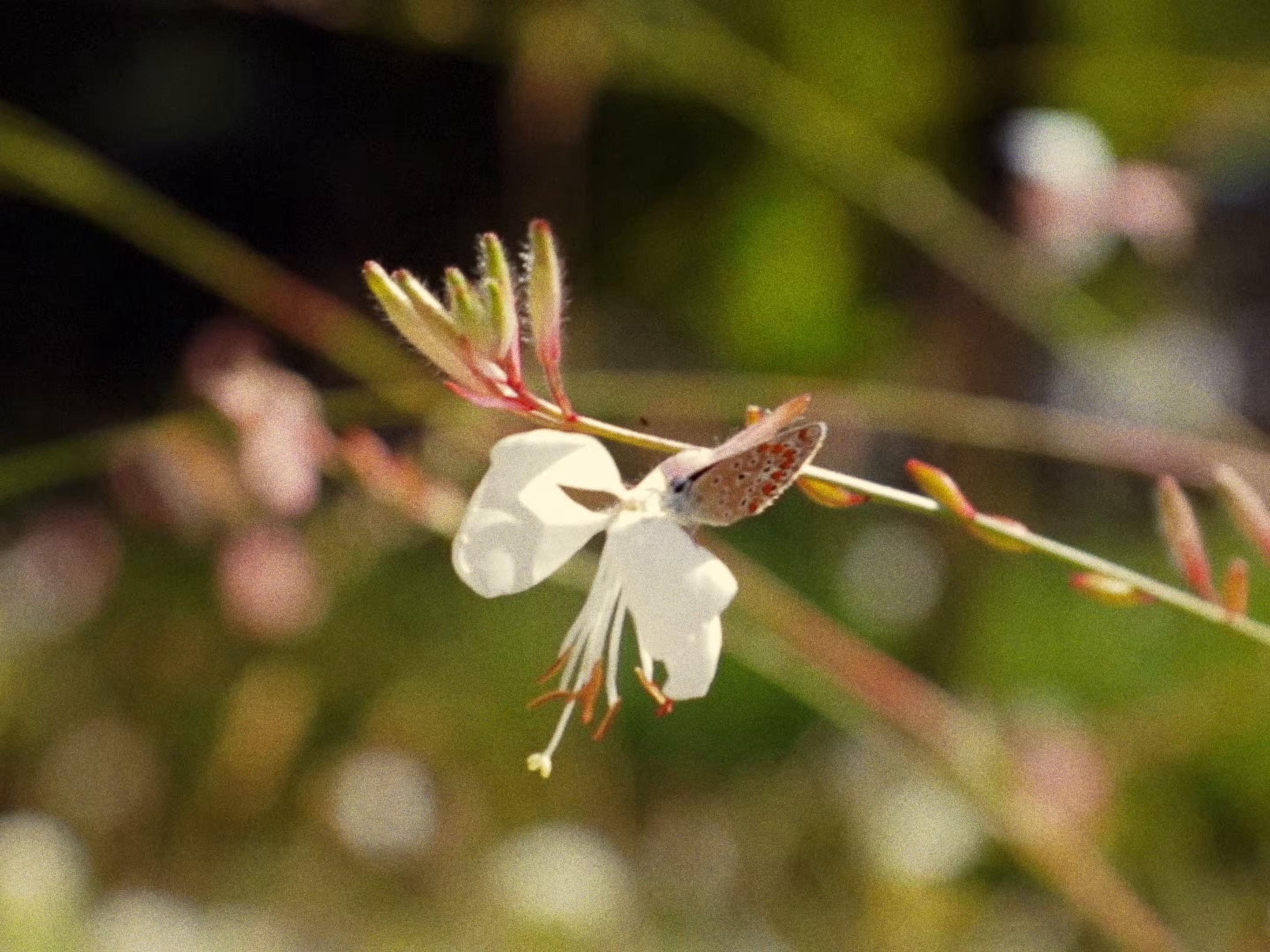 Par-delà (2025) —  shot,  lighting