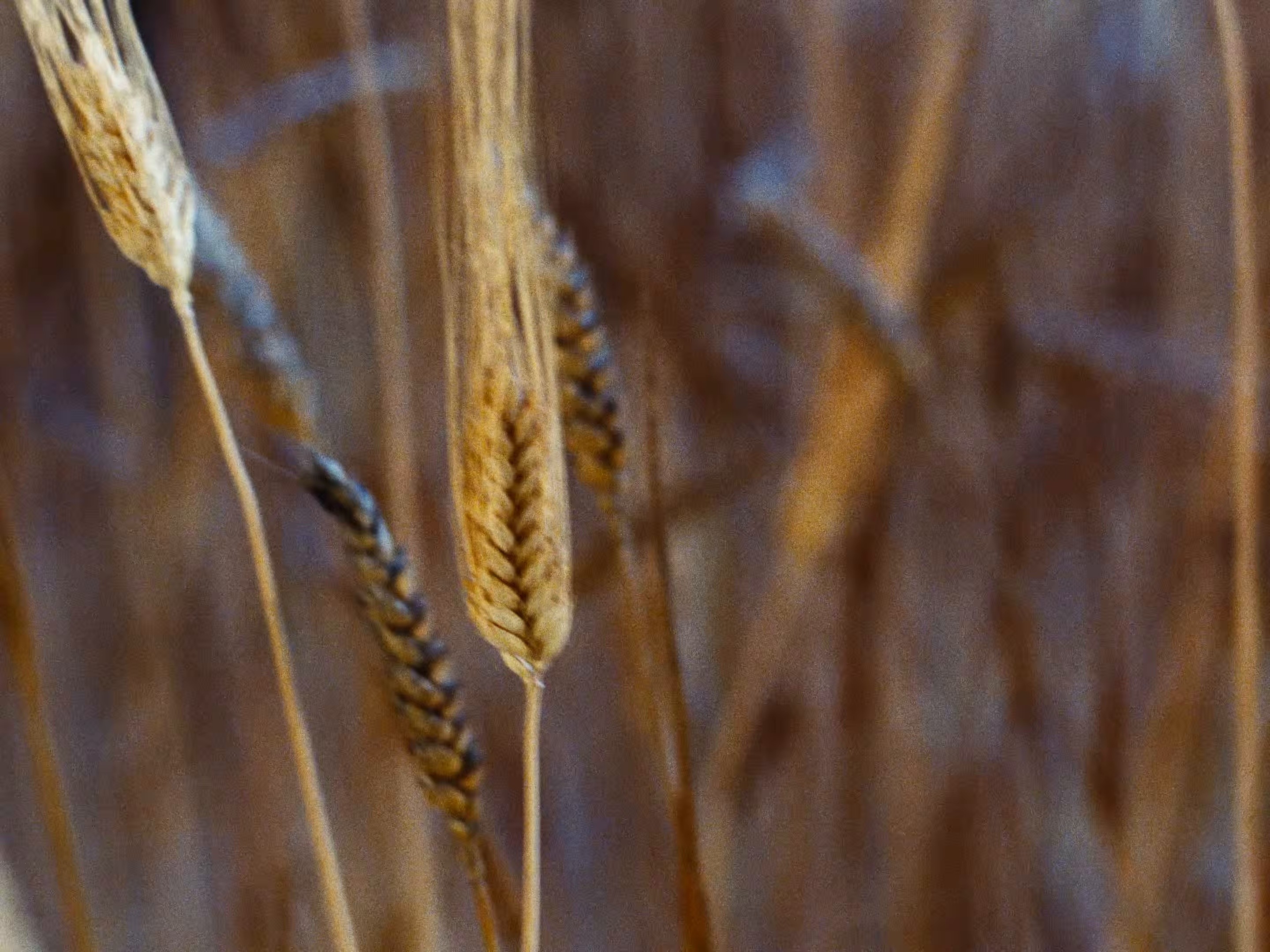 Par-delà (2025) —  shot,  lighting