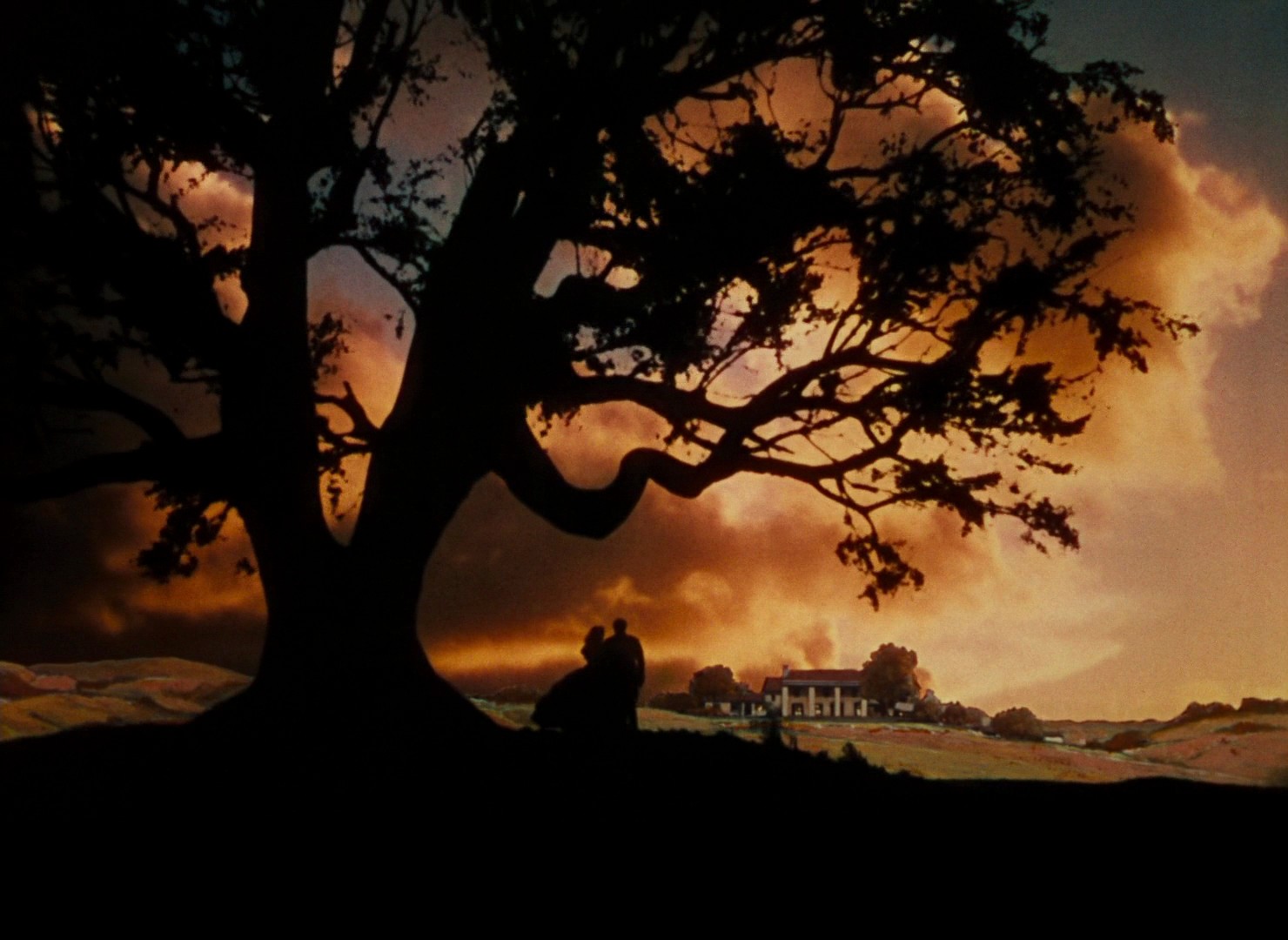 Gone with the Wind (1939) —  shot,  lighting