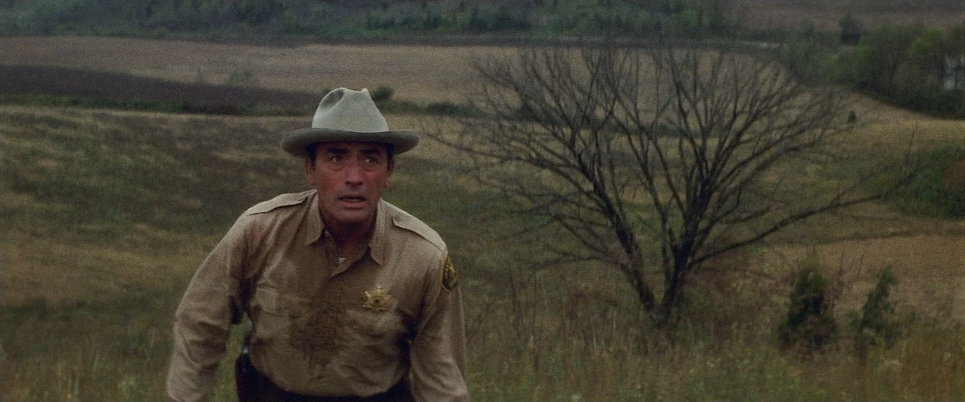 I Walk the Line (1970) —  shot,  lighting