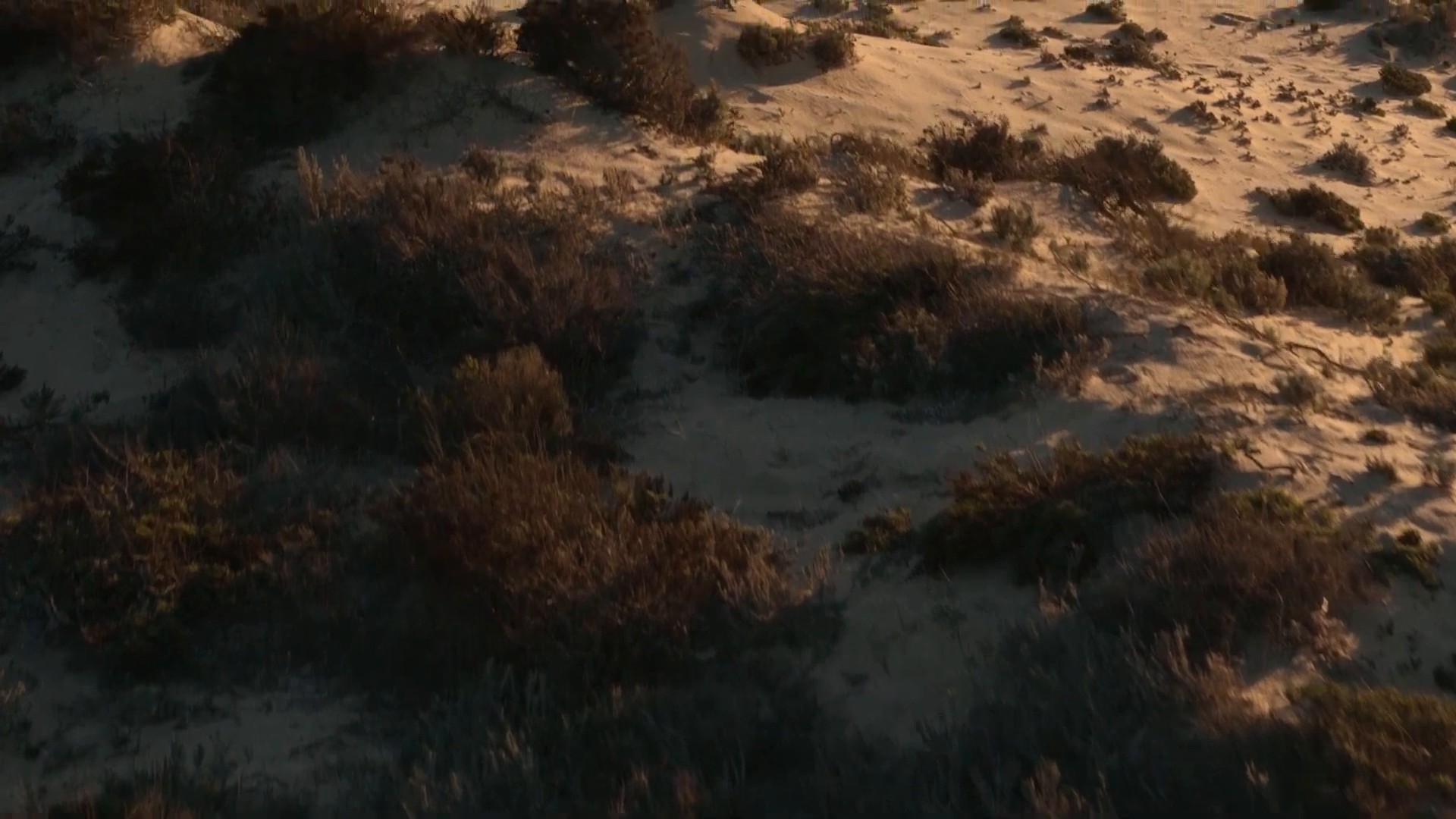 ZEGNA MADS MIKKELSEN _ OASI LINO (2024) —  shot,  lighting